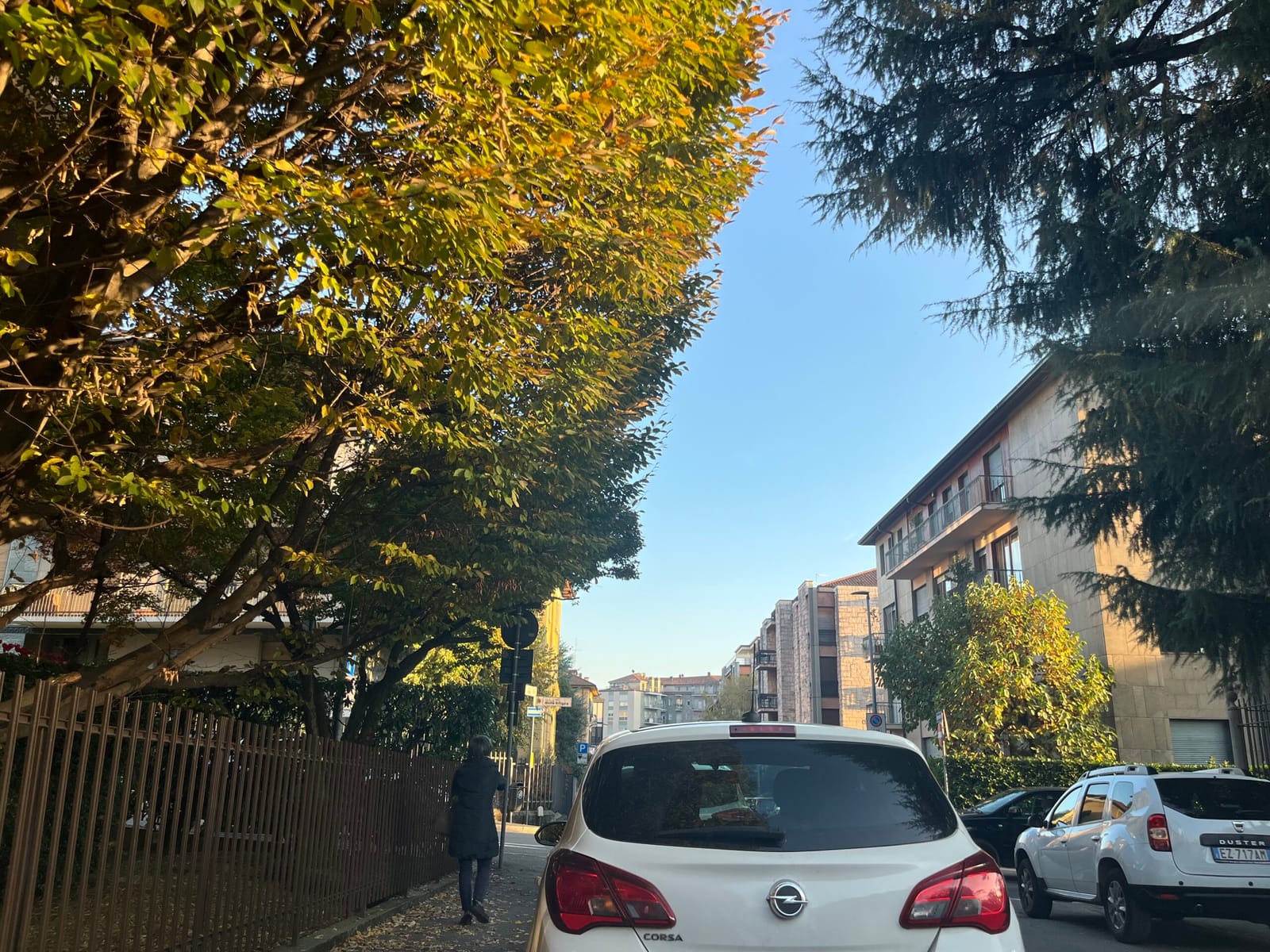 autumn leaves