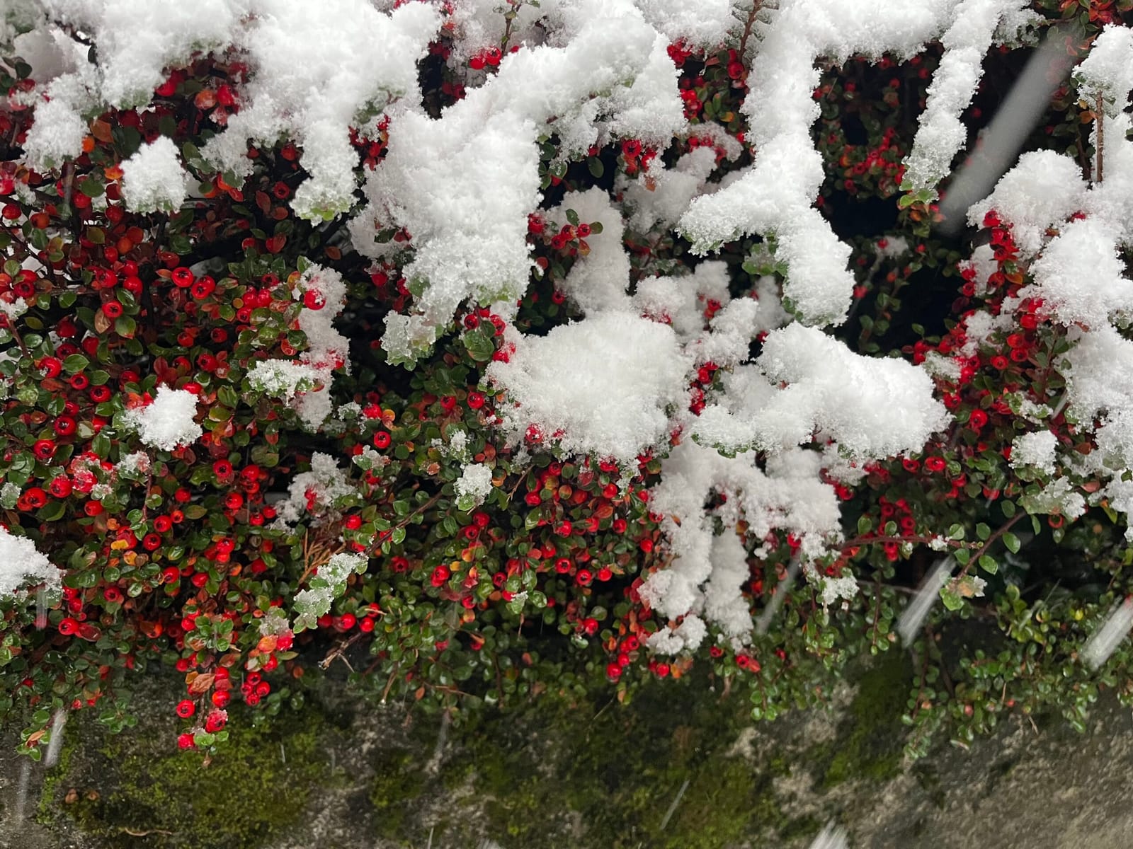 snowing