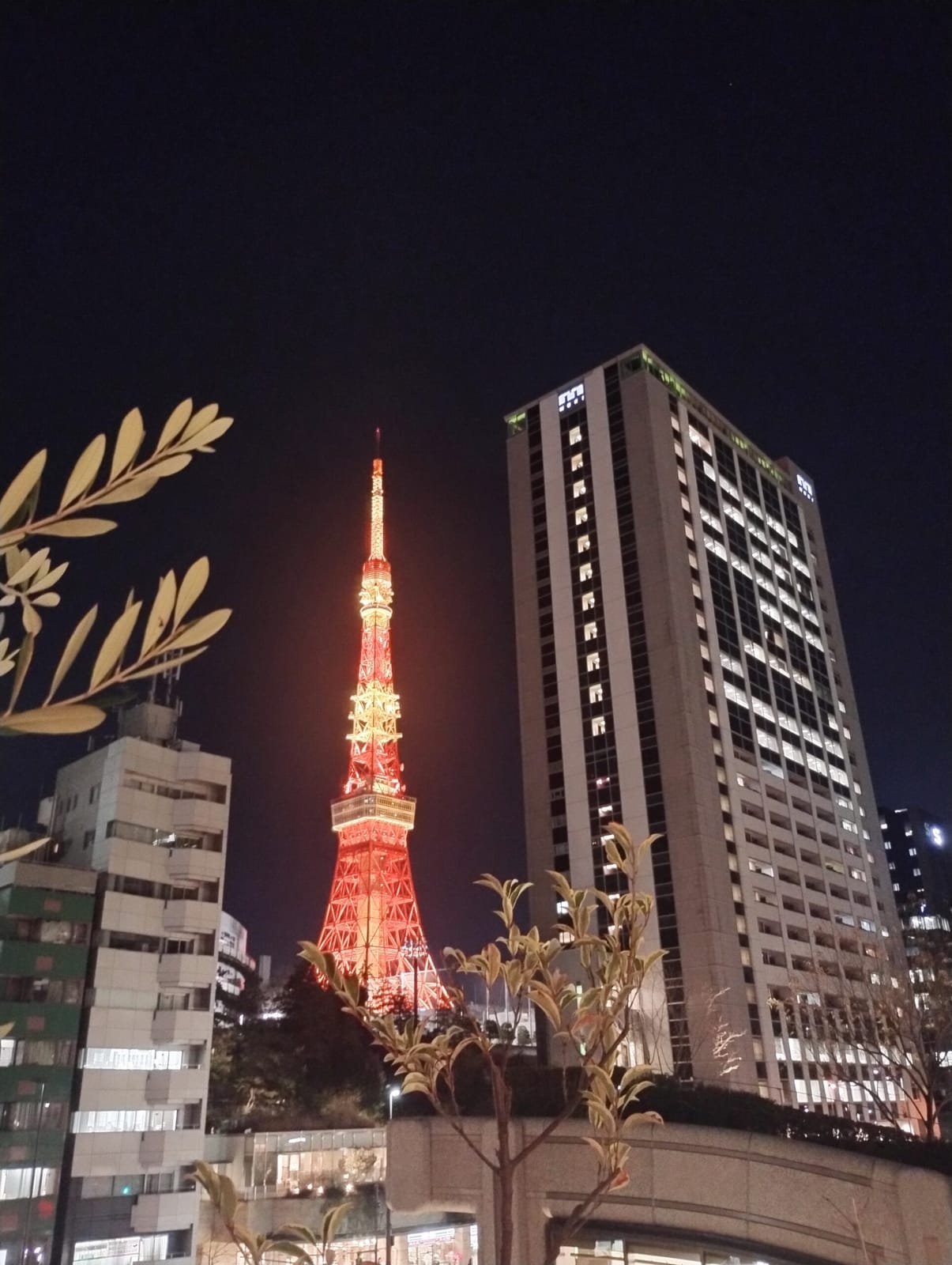 東京デート（市場調査等含む）