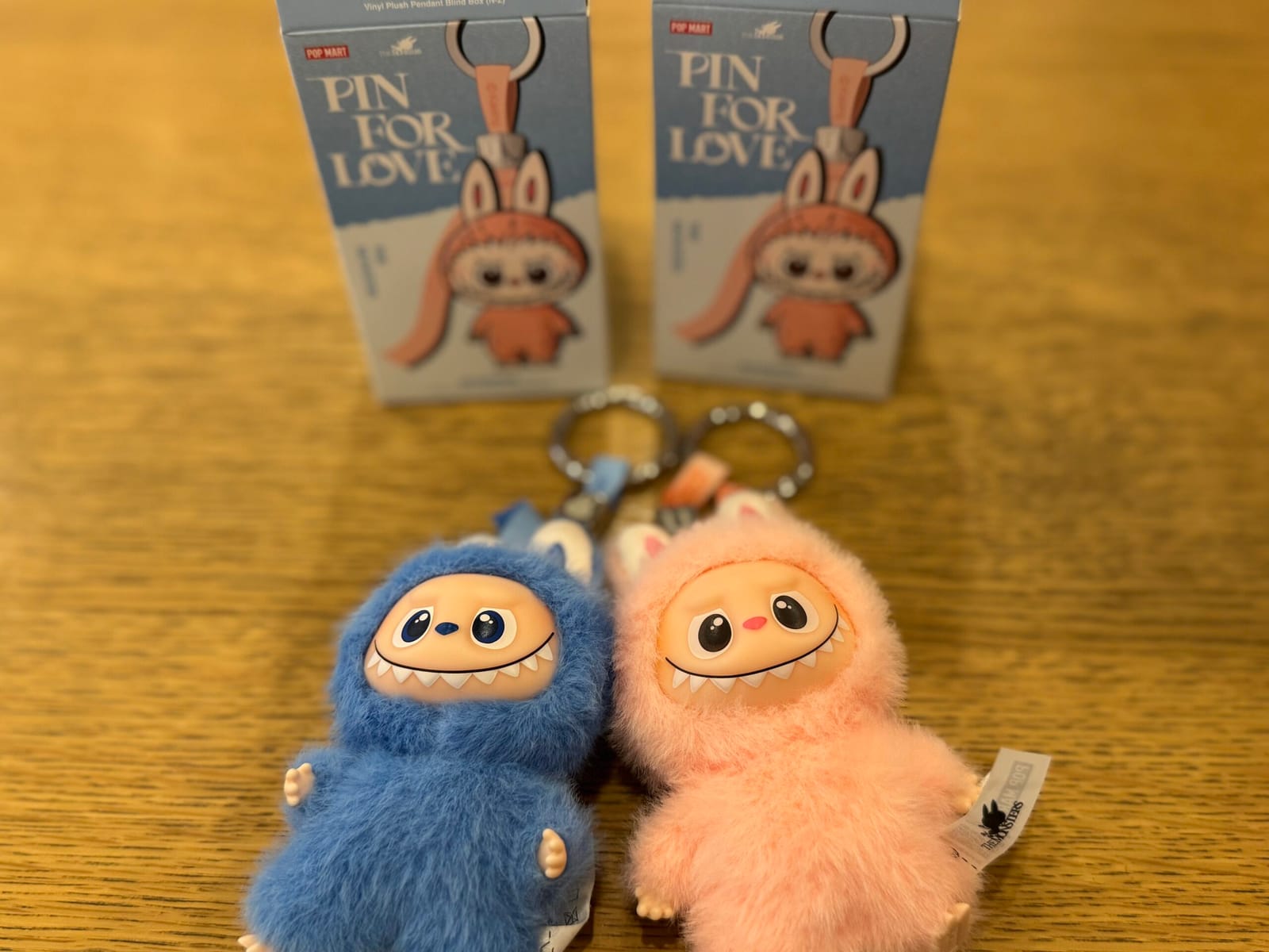 子の経済観念