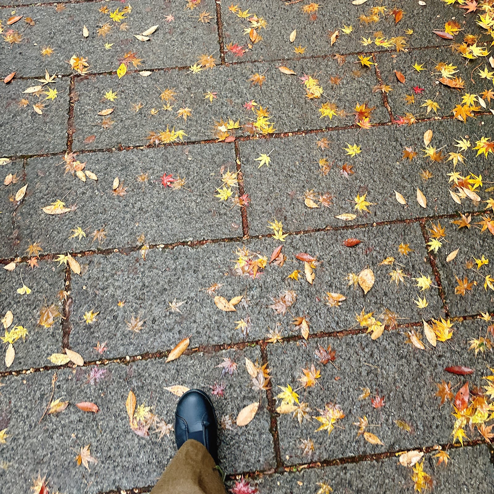 恋人の時期