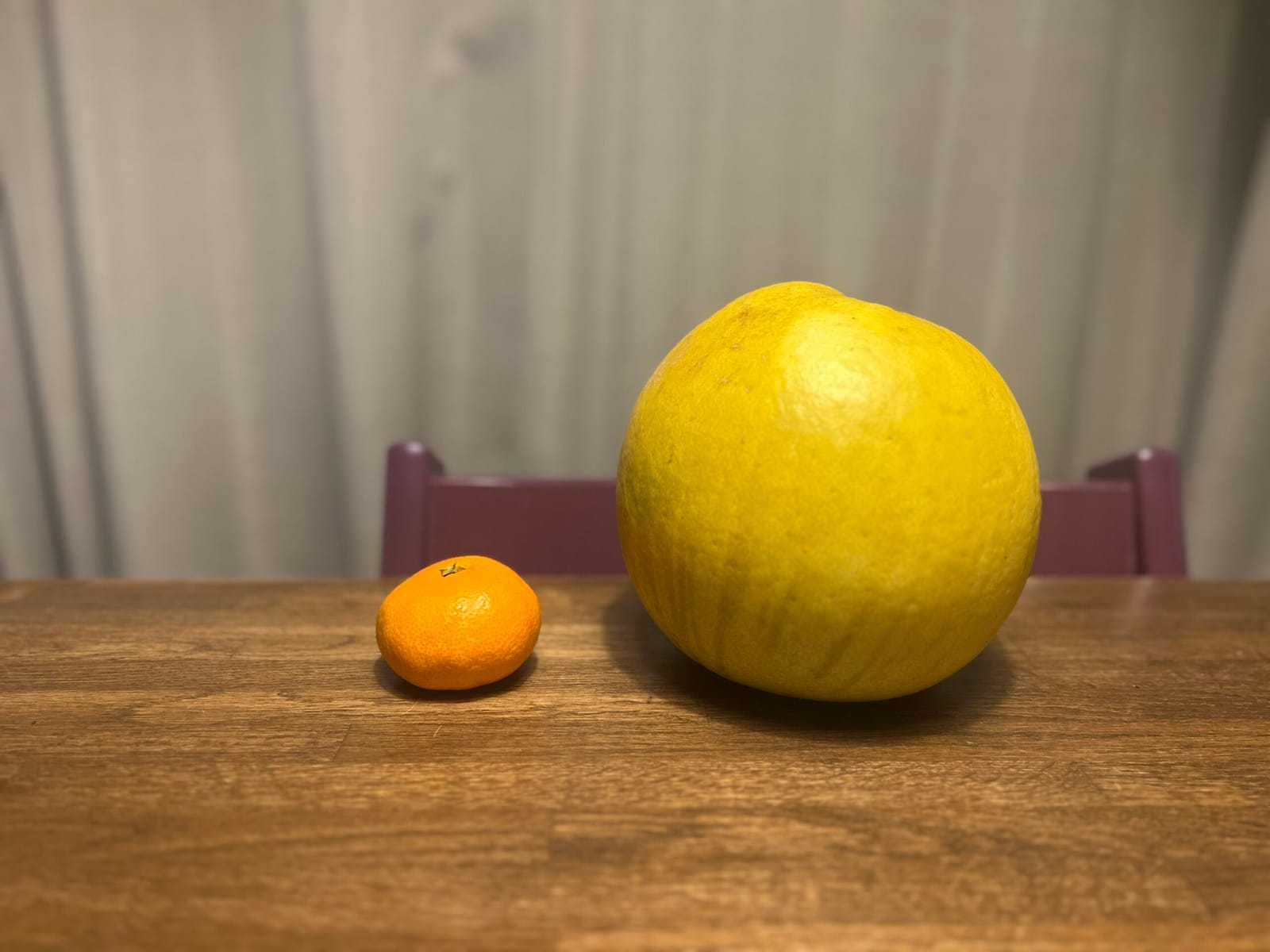 散歩ブーム？