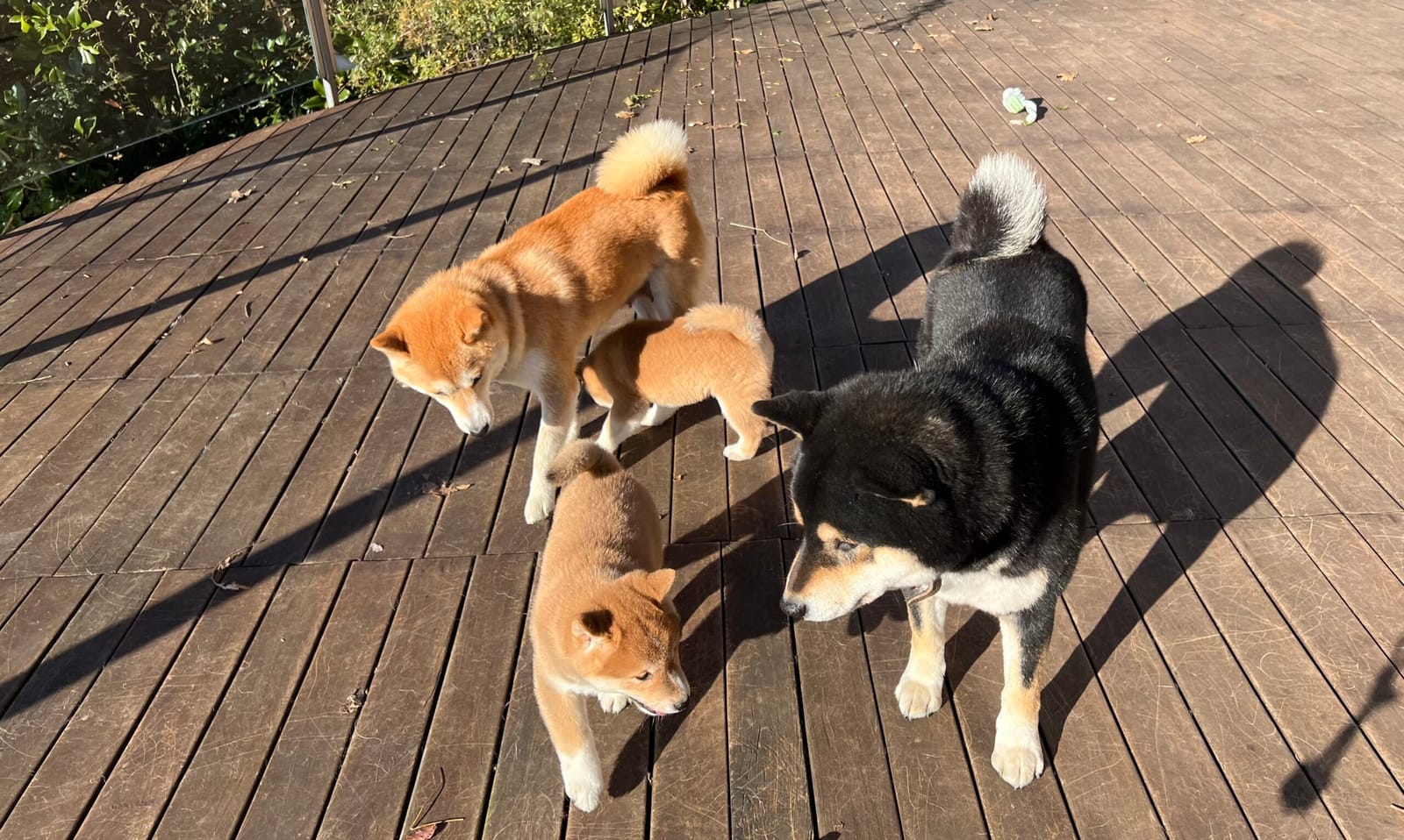 a family photo