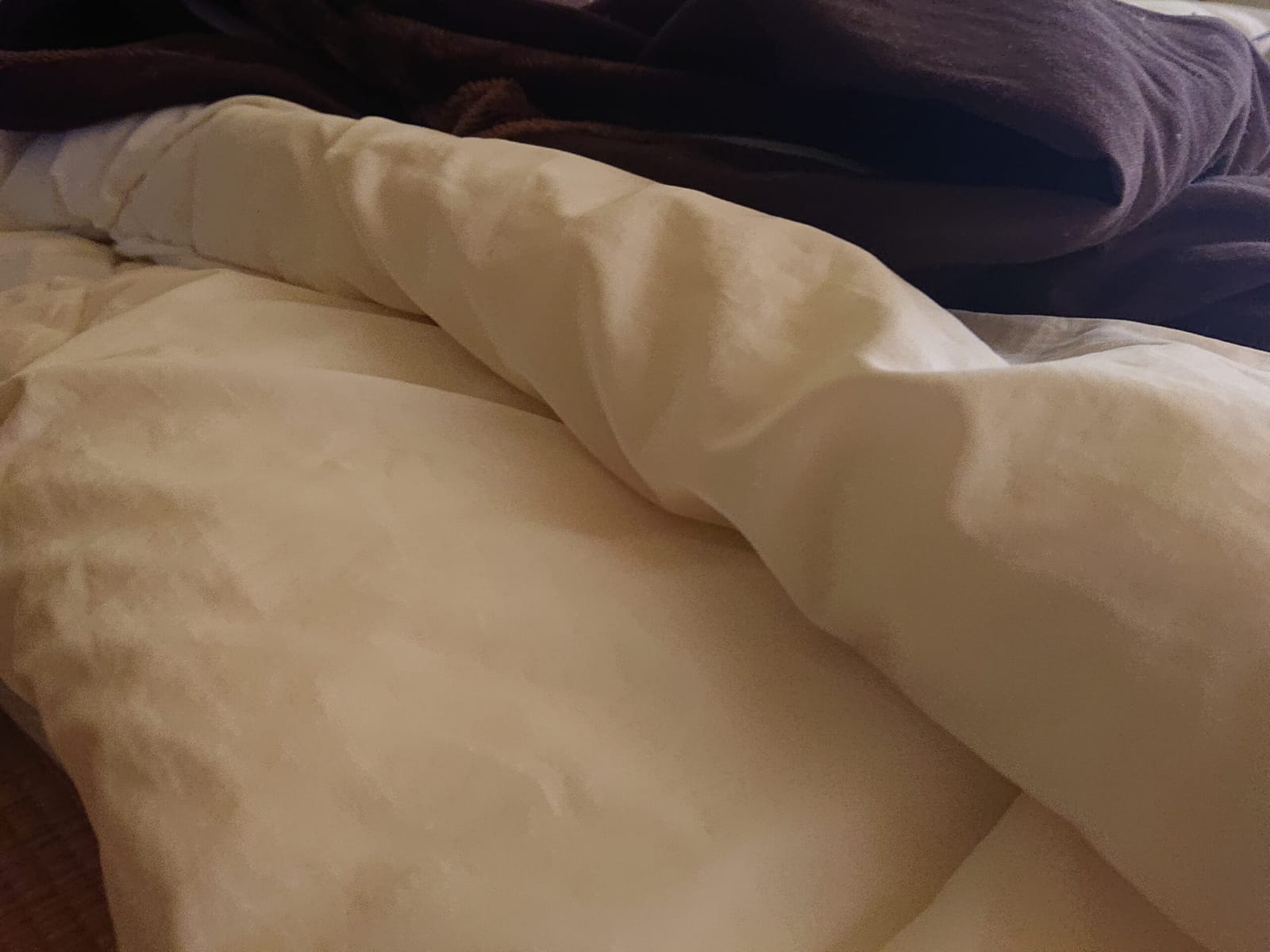今日はちゃんとシングル。