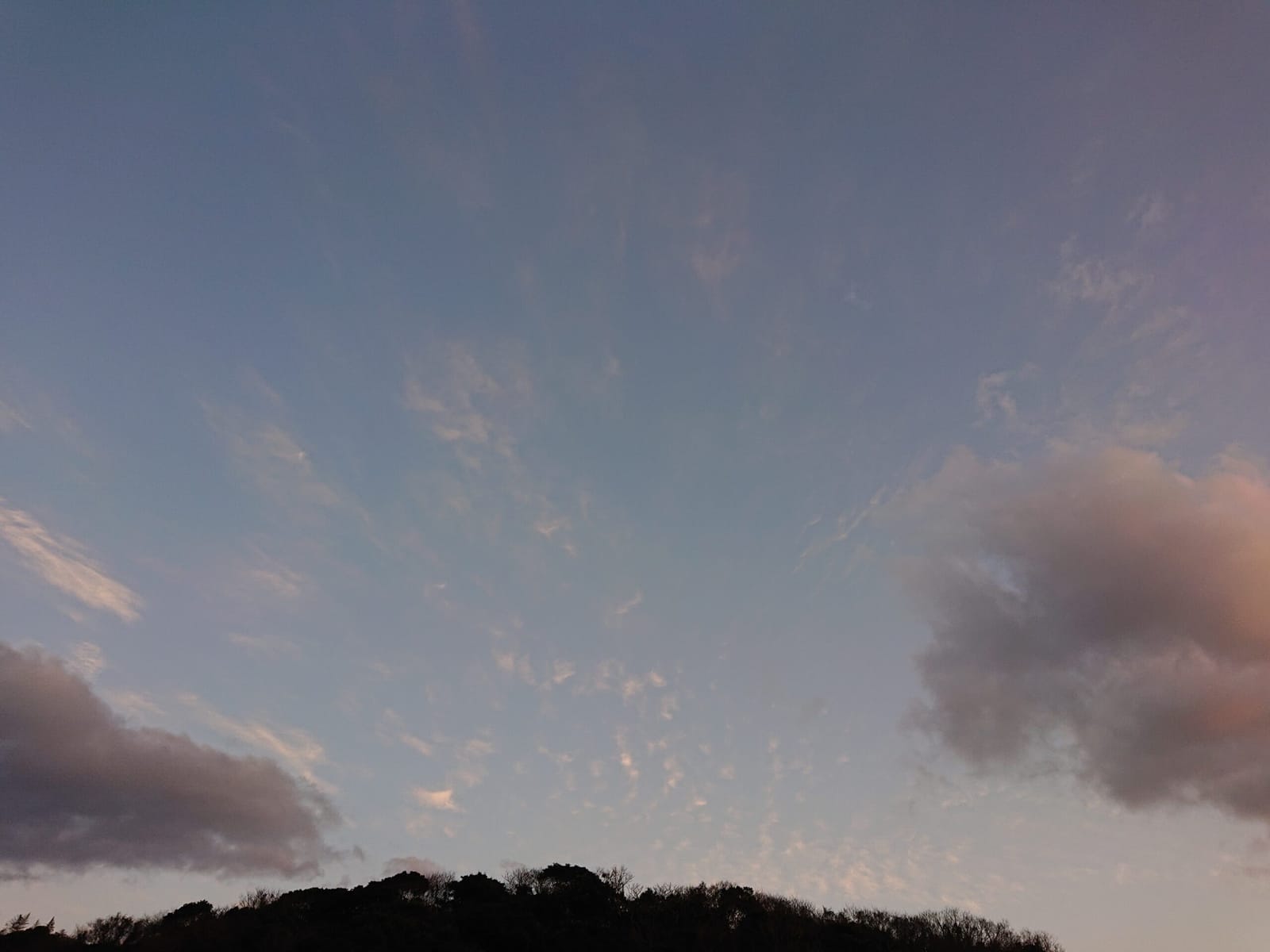 雨降らせそうなちぎれ雲
