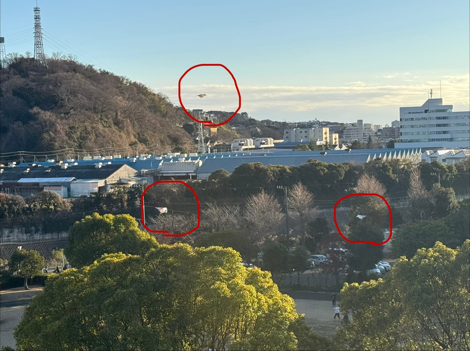 おかえりわたしの平穏