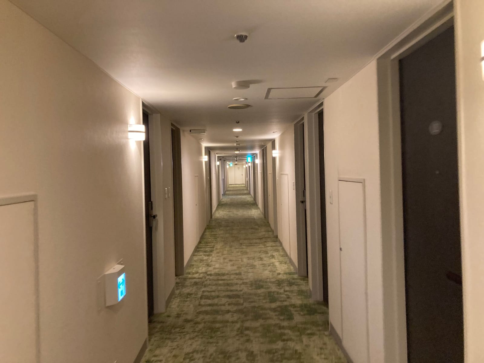 寝ても覚めても