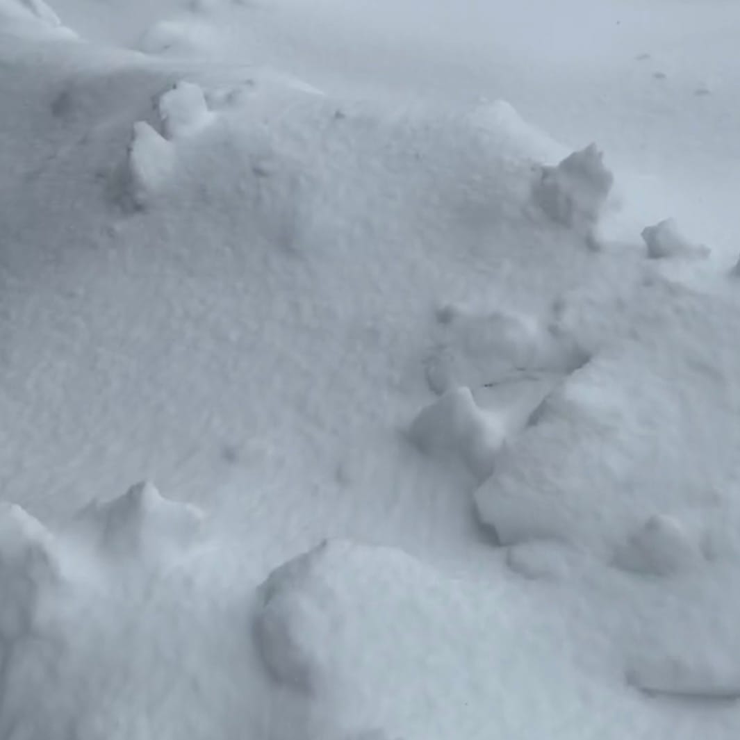 雪国より