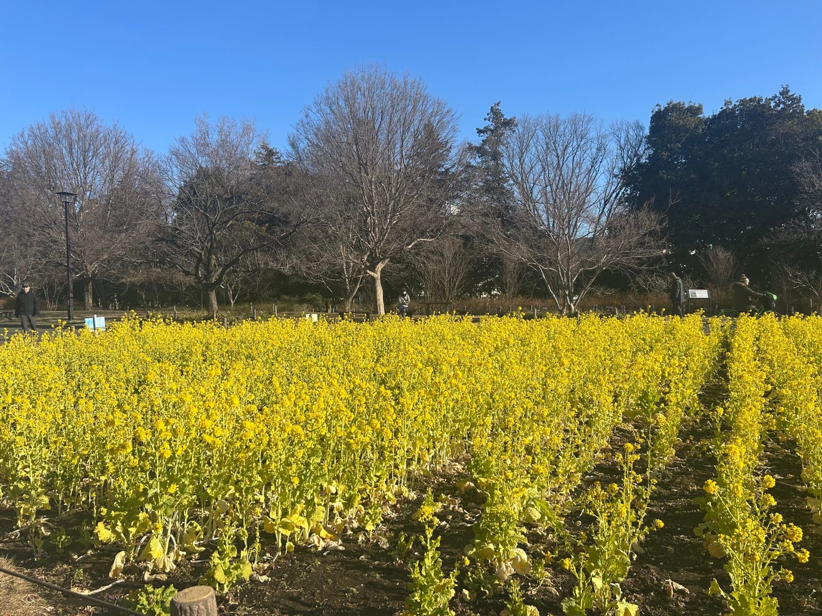 出勤途中に寄り道