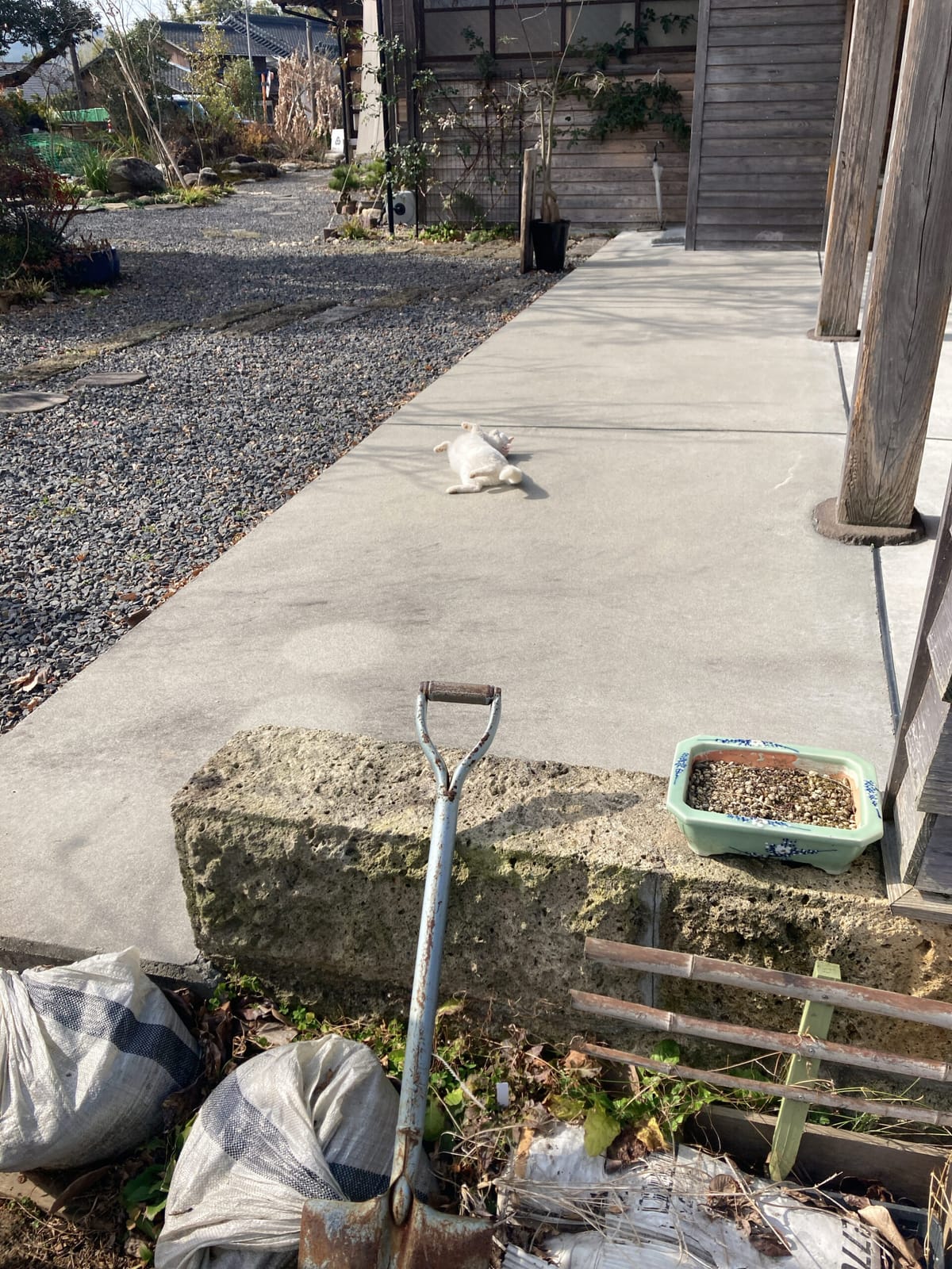 いささか視察