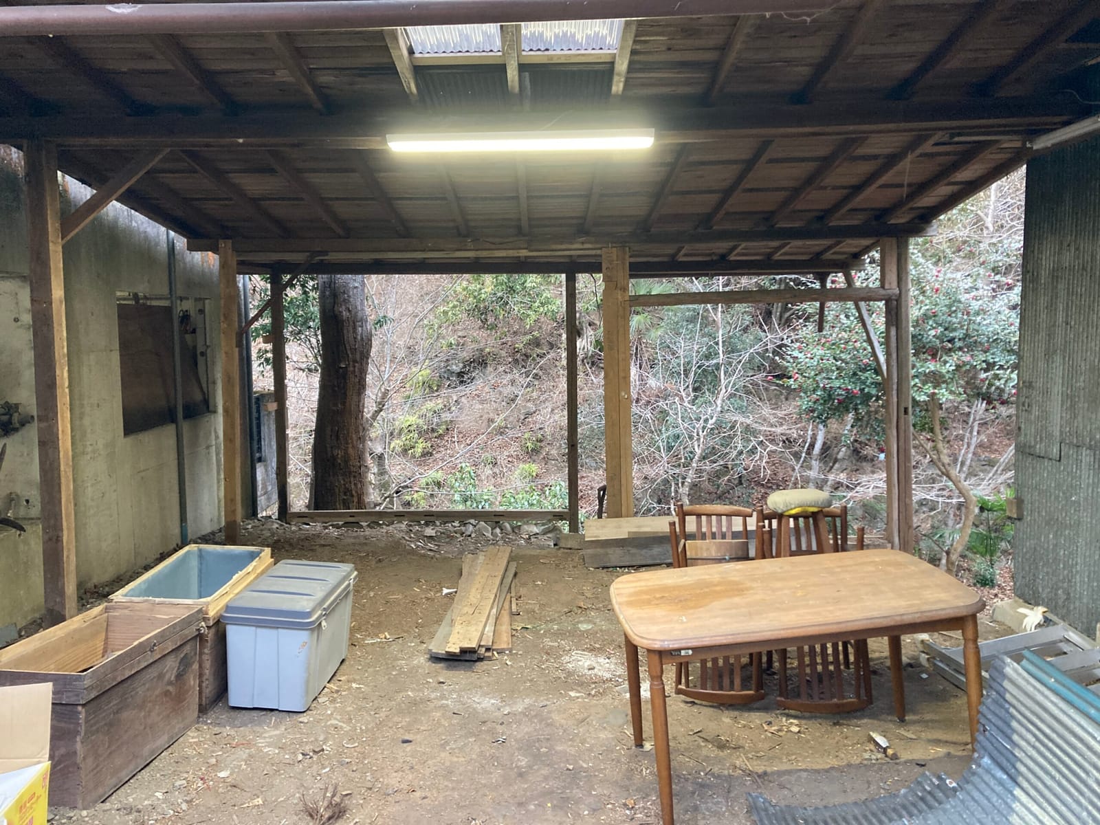 見せたり、見せなかったり
