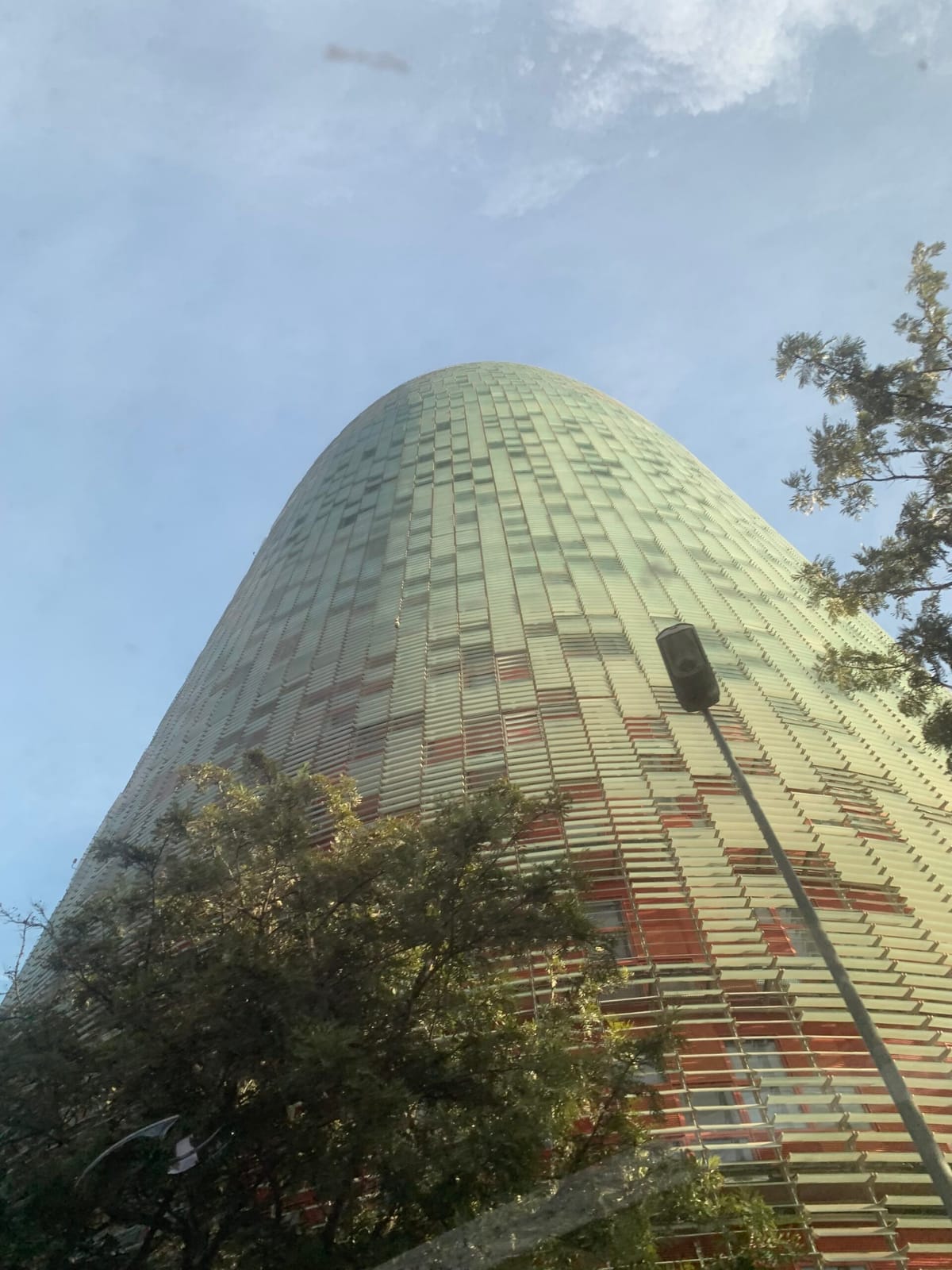 LUNES DE OLAS Y RESFRIADO
