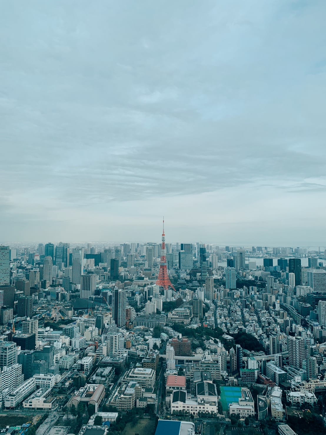 温存の日曜