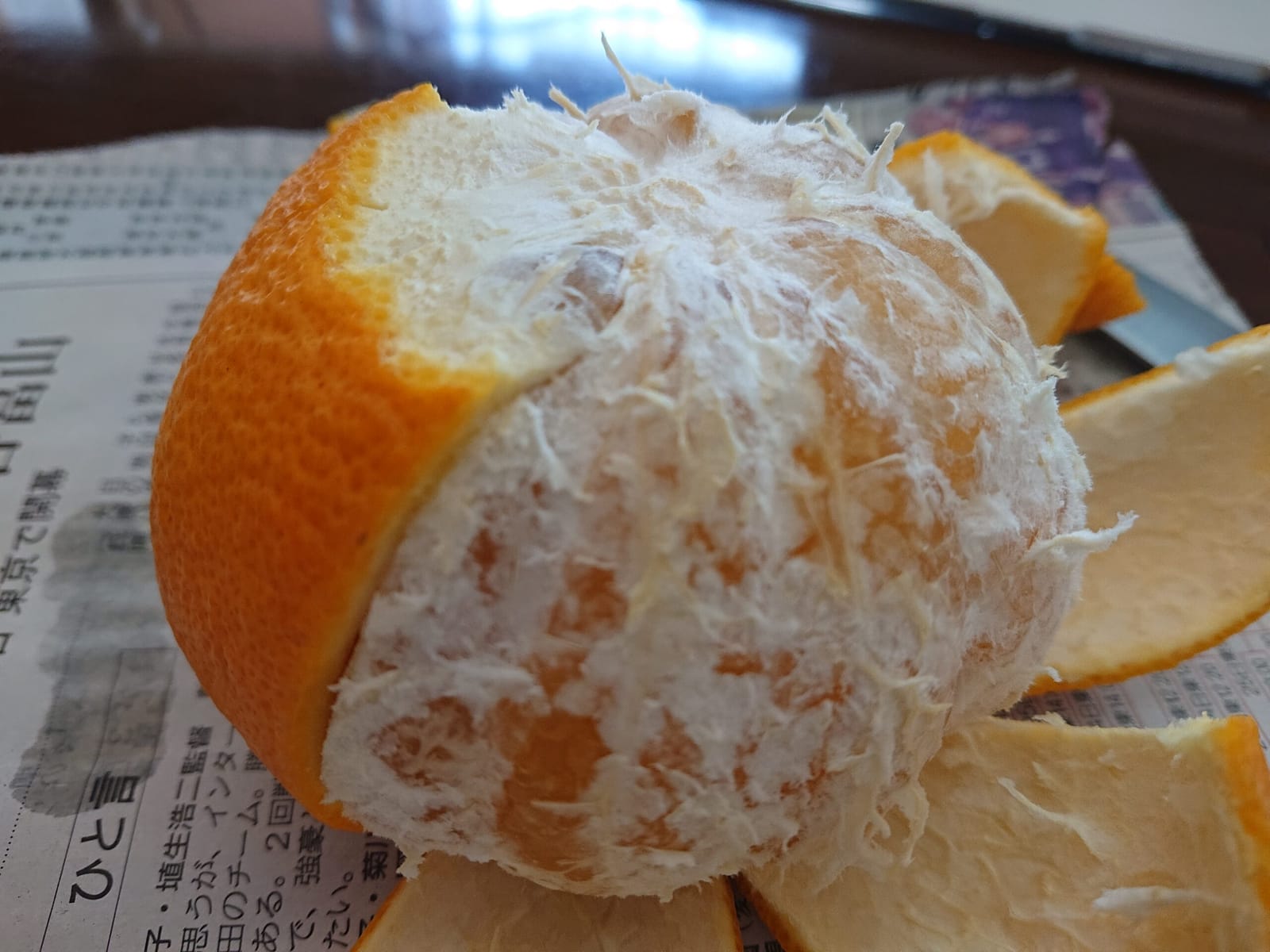 食べられる実、食べられない実