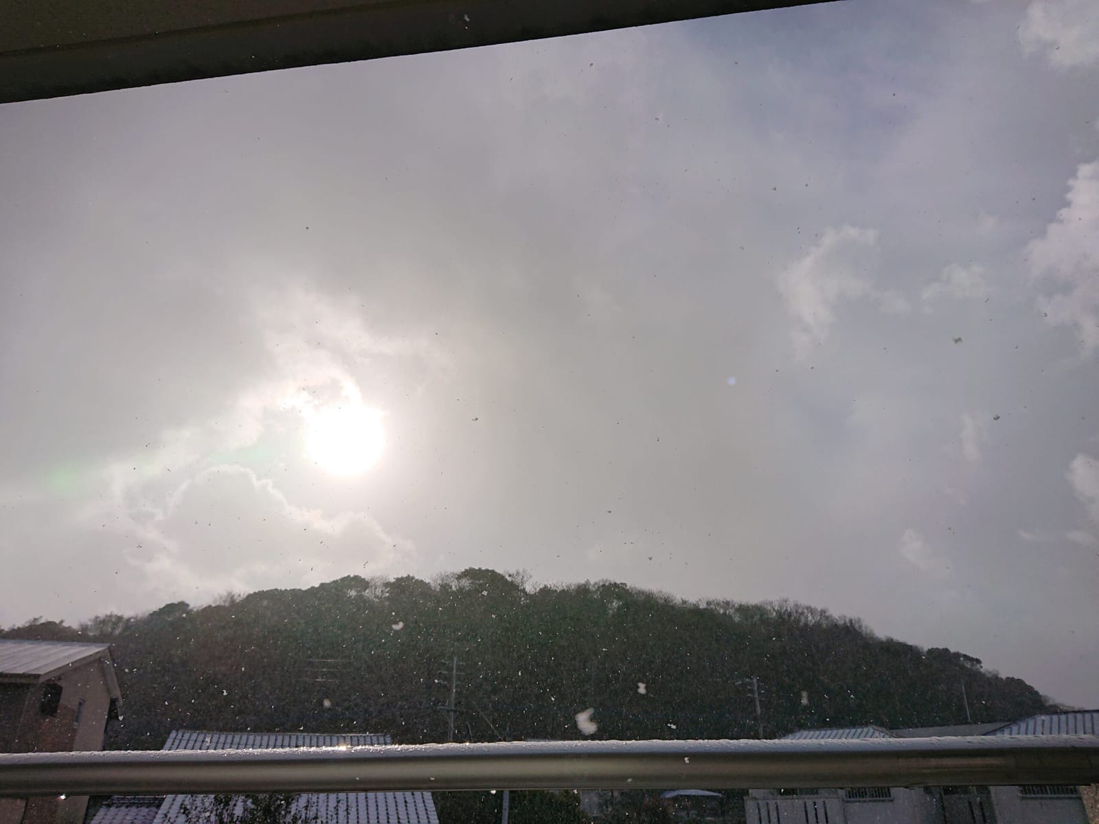 今日はもう満腹