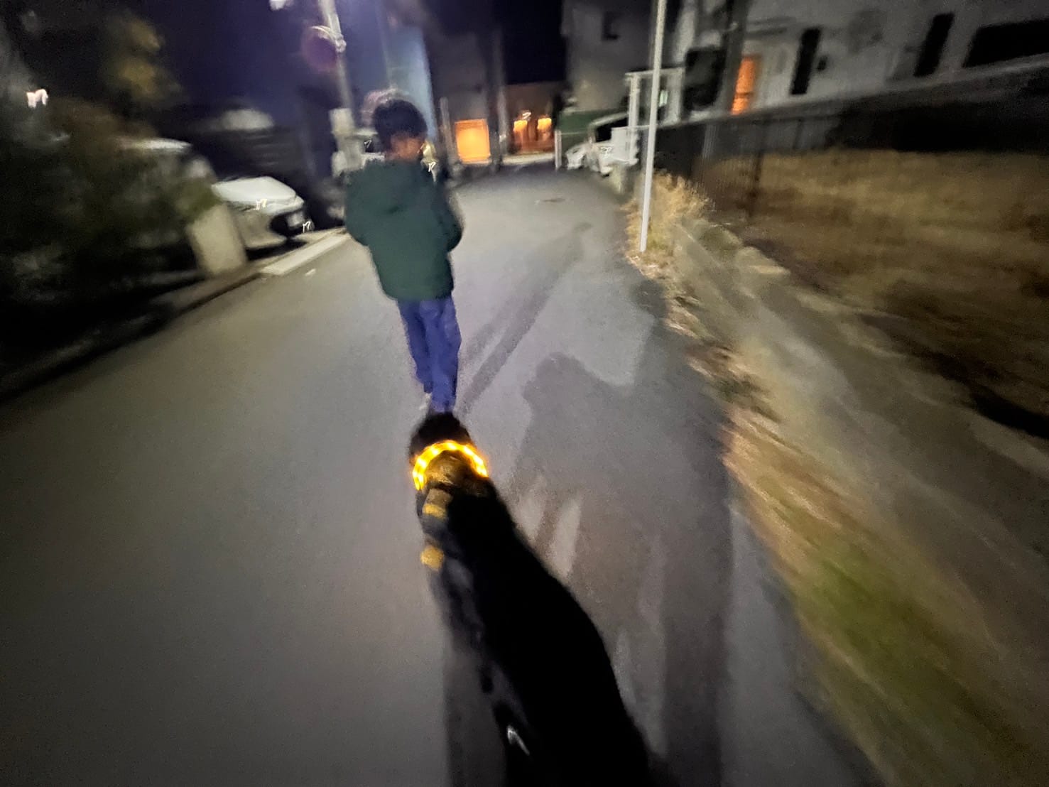 続いてこちらもパラダイス