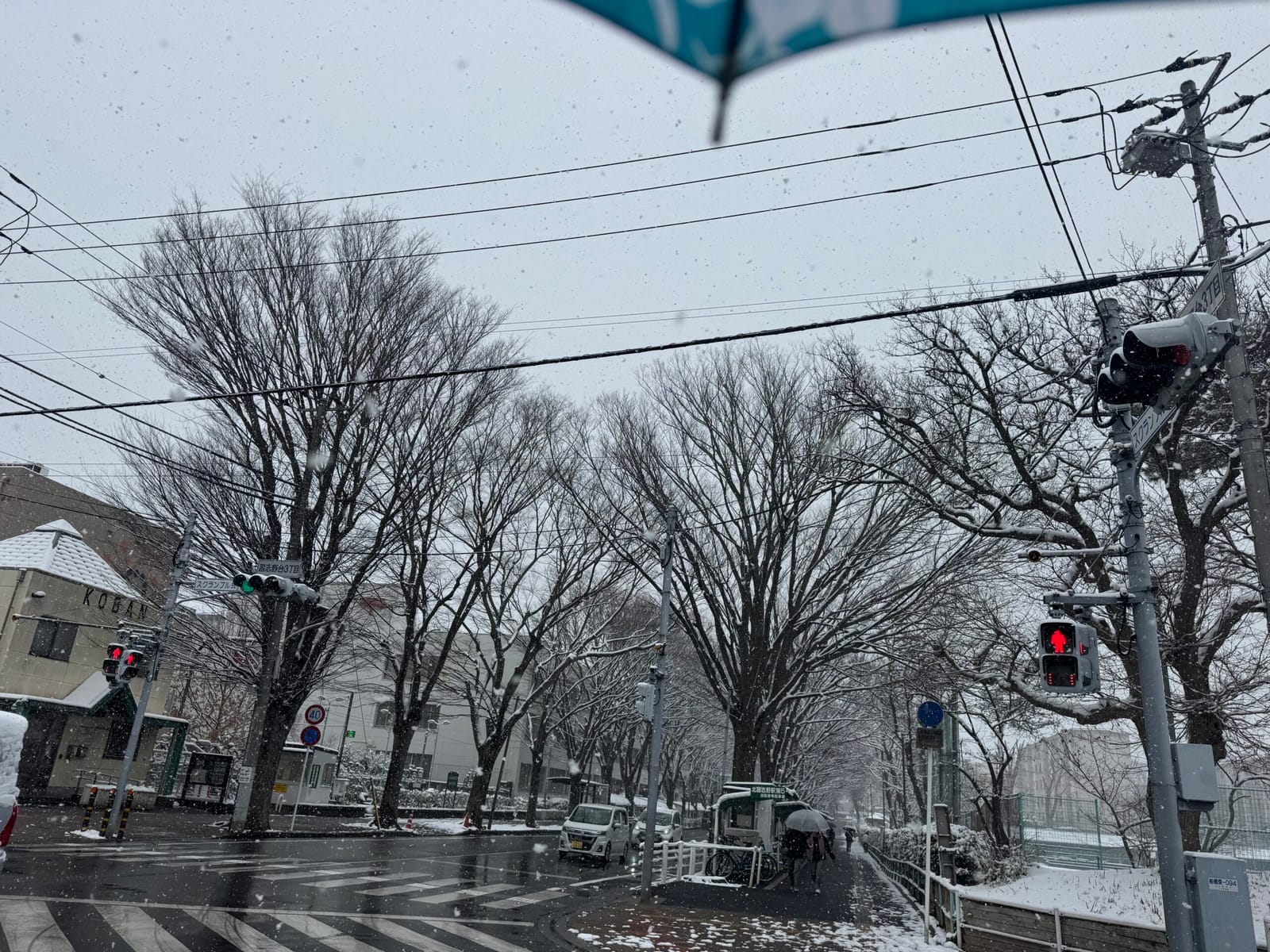 庭駆け回る雪っ子たち