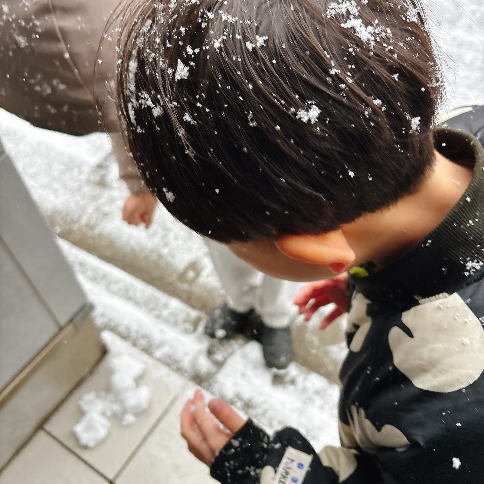 雪の東京