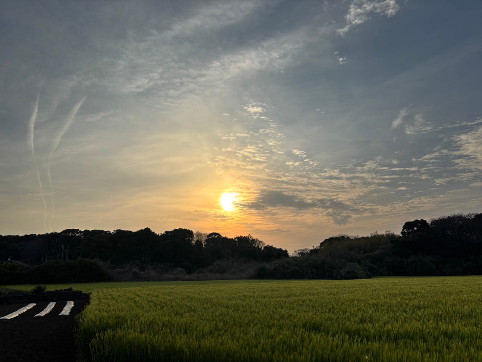今日も朝日を拝めました