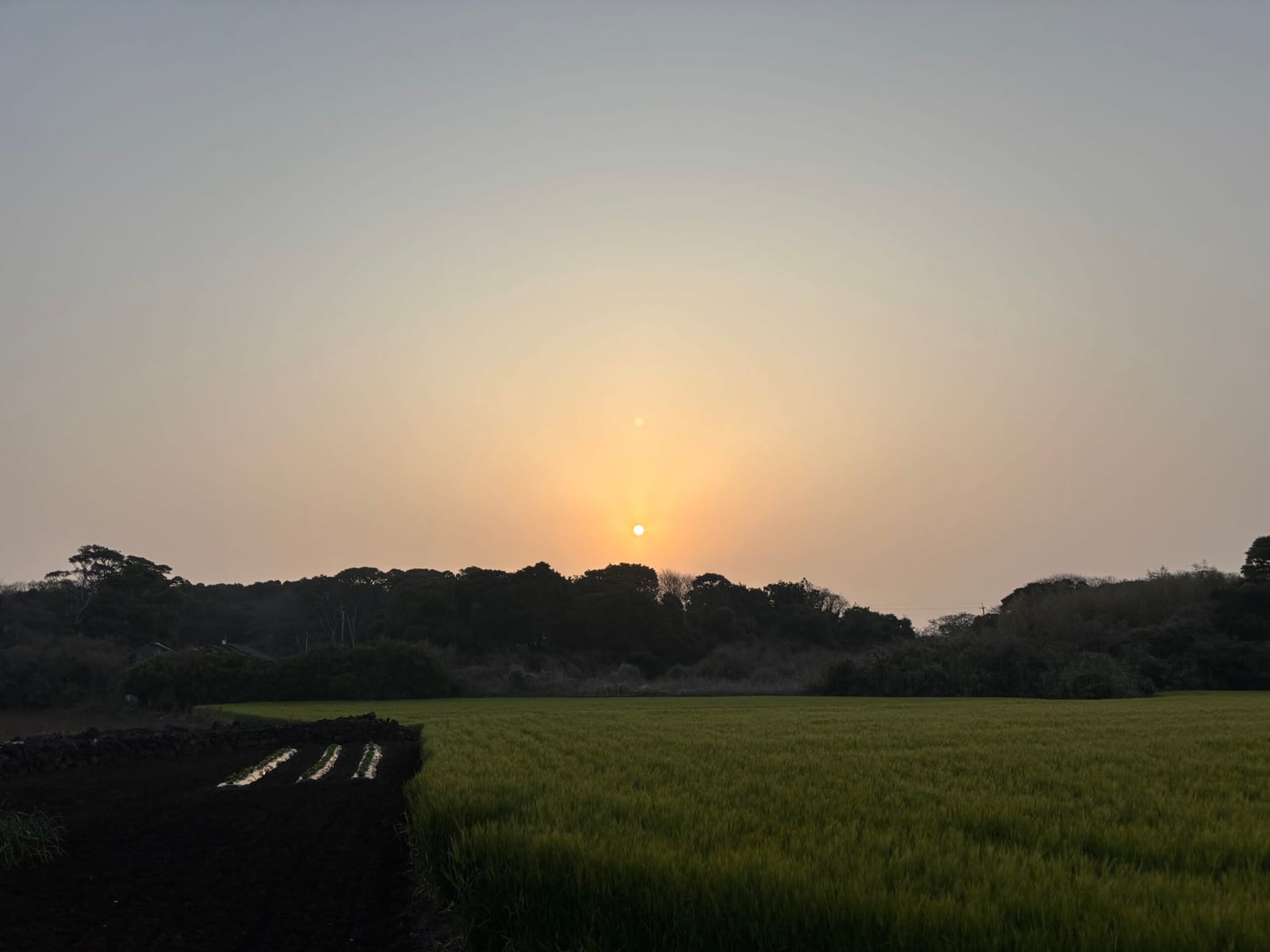 朝日におはよう