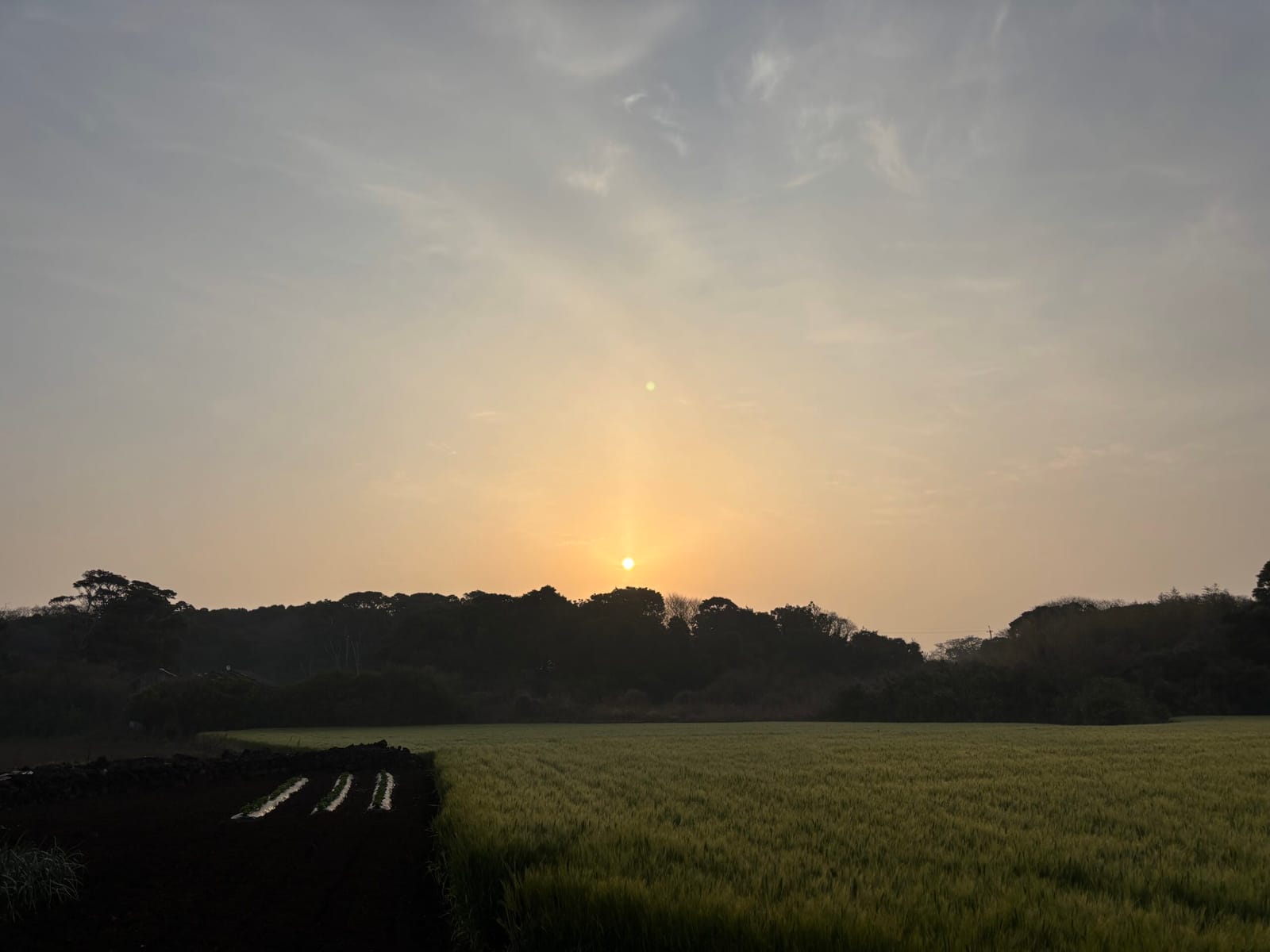 昨日よりほんの少し低い位置の朝日