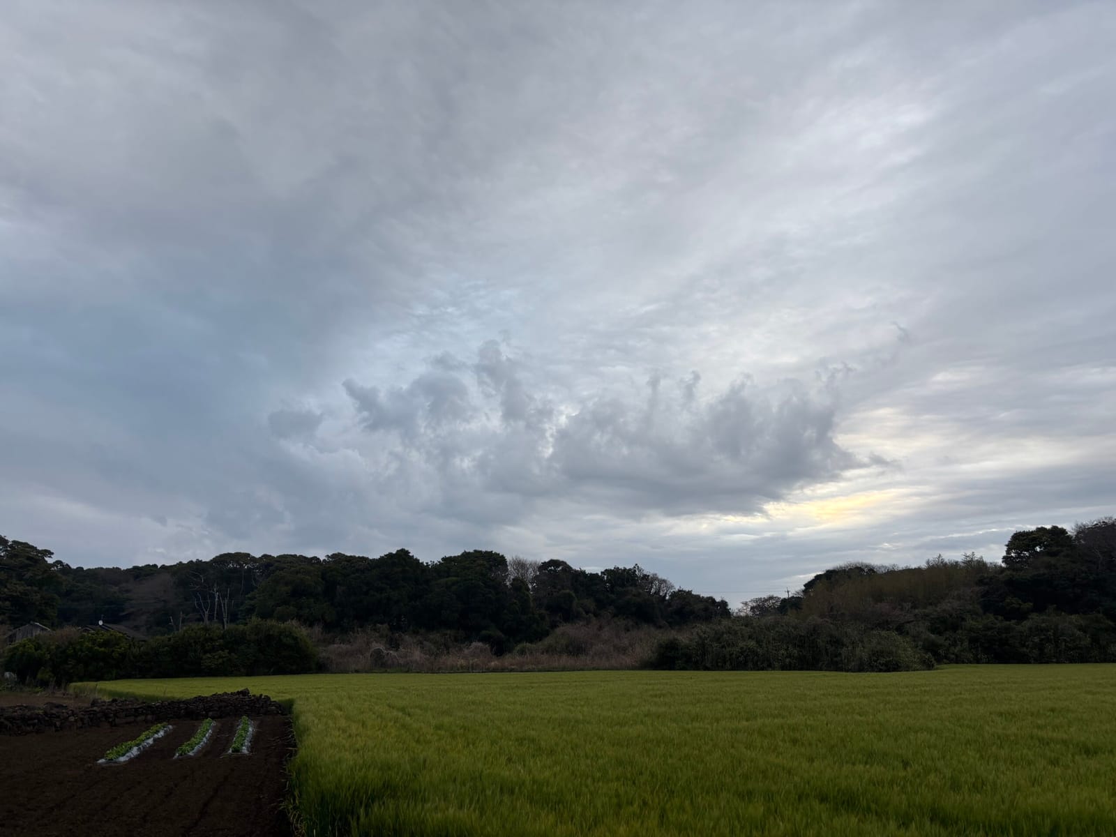 雨の日はおうちの中を整える