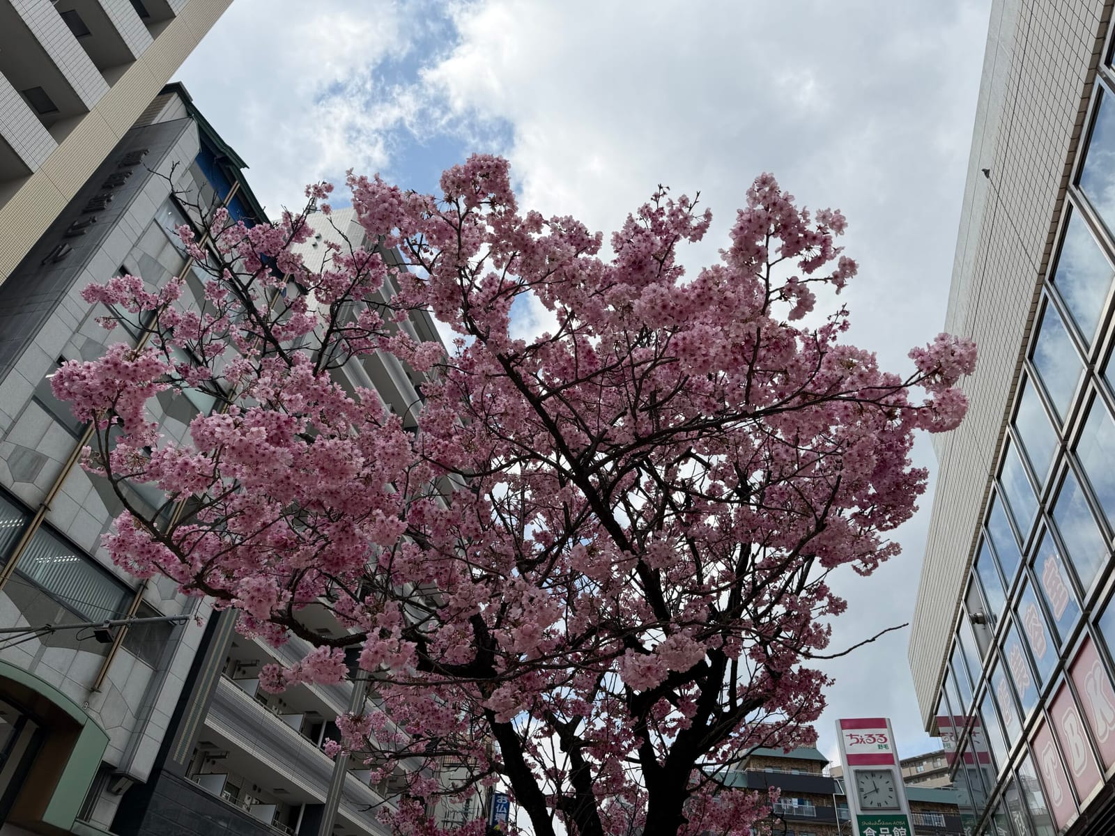 大丈夫