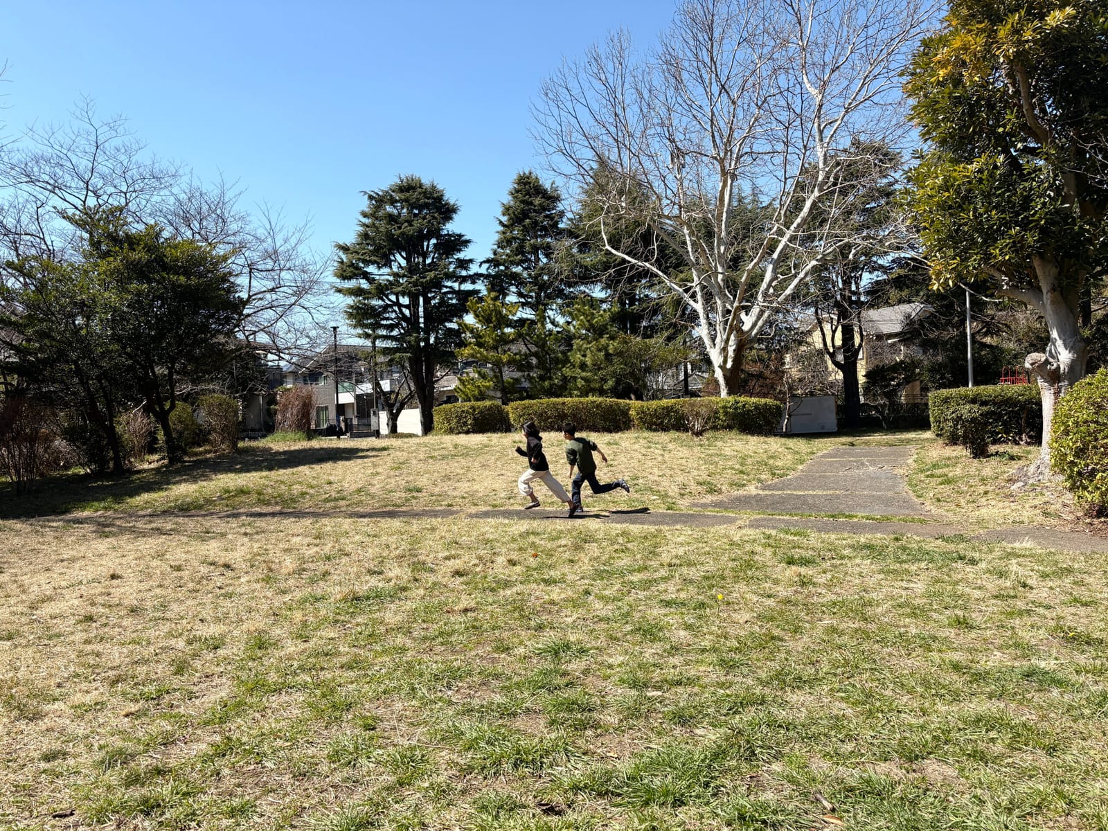 ¥300 葉山コロッケ3個