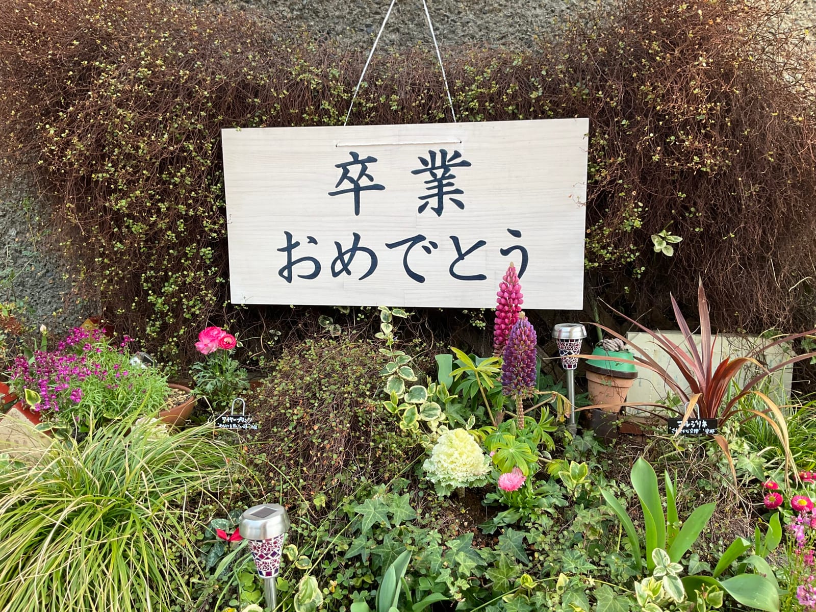 卒業　その2