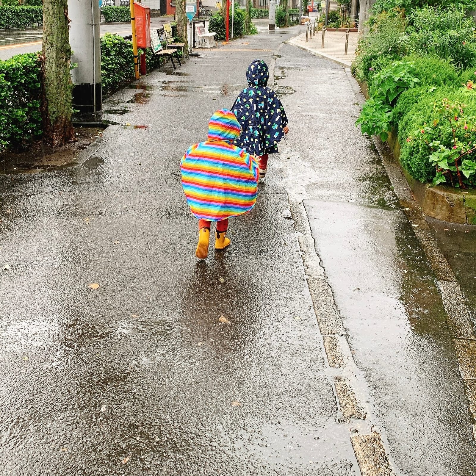雨の登園日