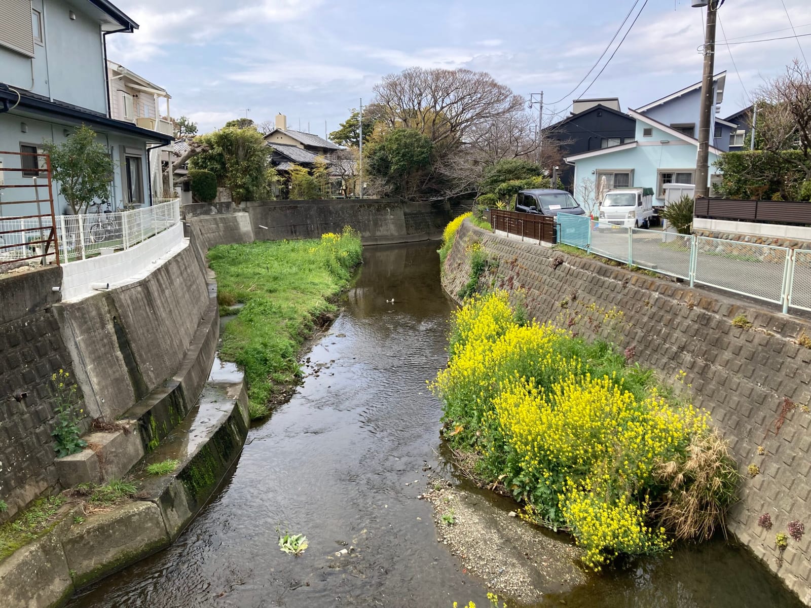 春に向けて