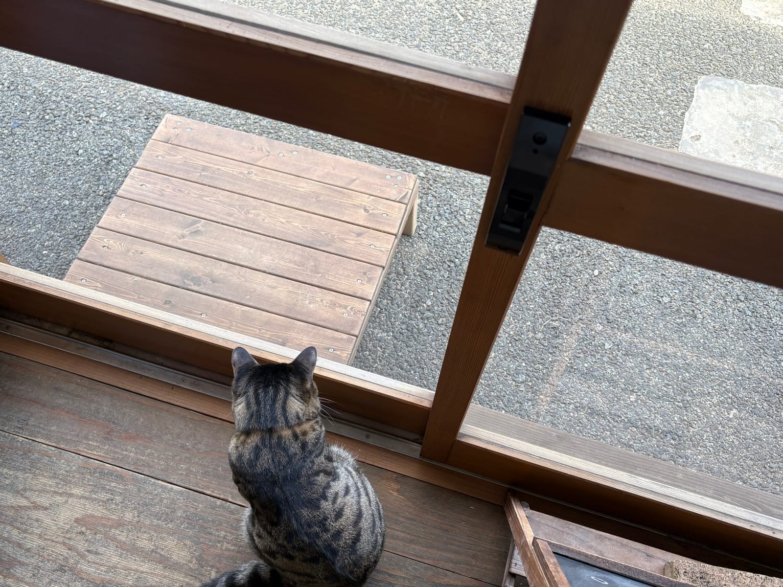 看板猫