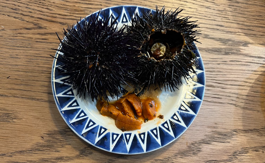 sea urchins