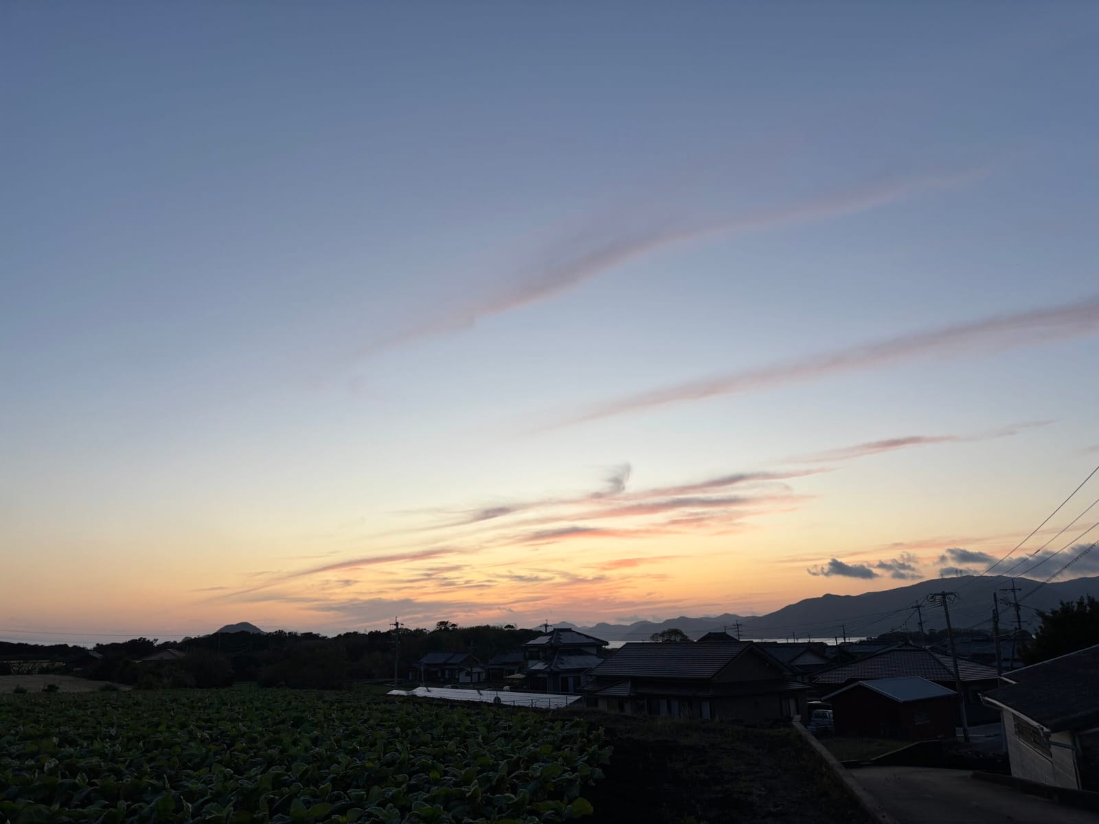 お久しぶり太陽