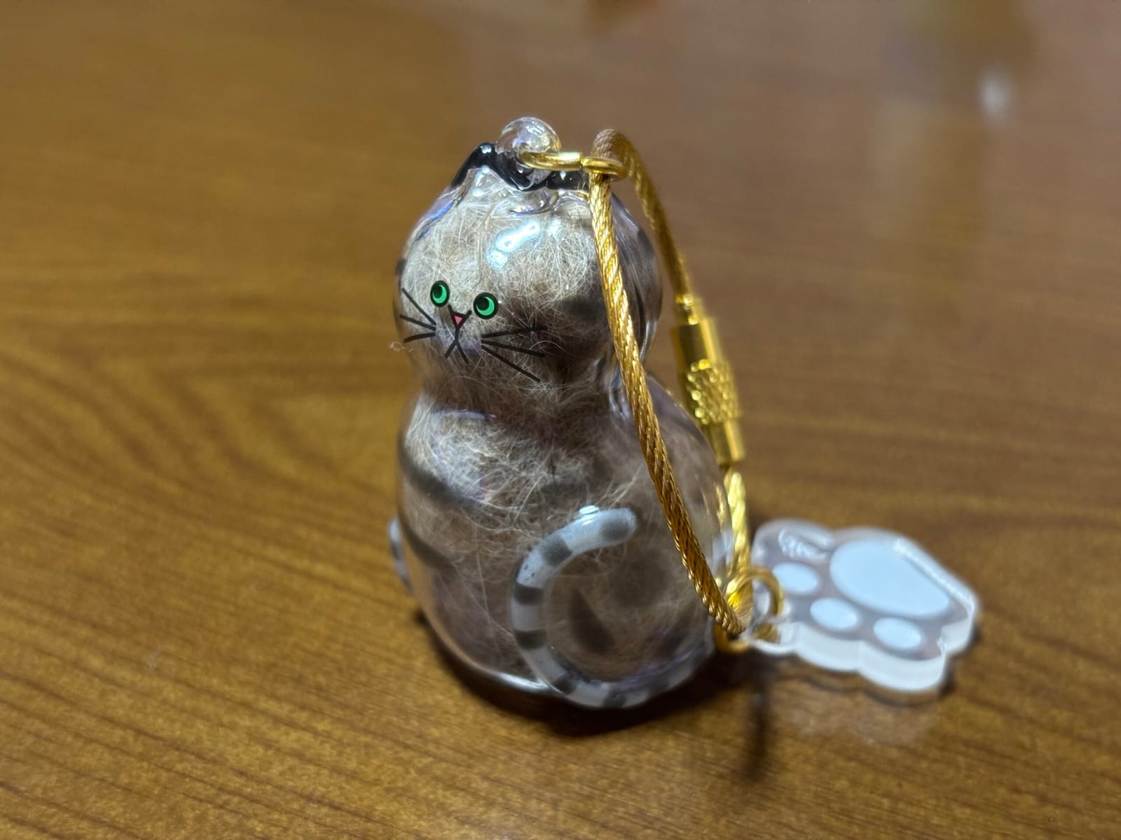 猫の毛採集
