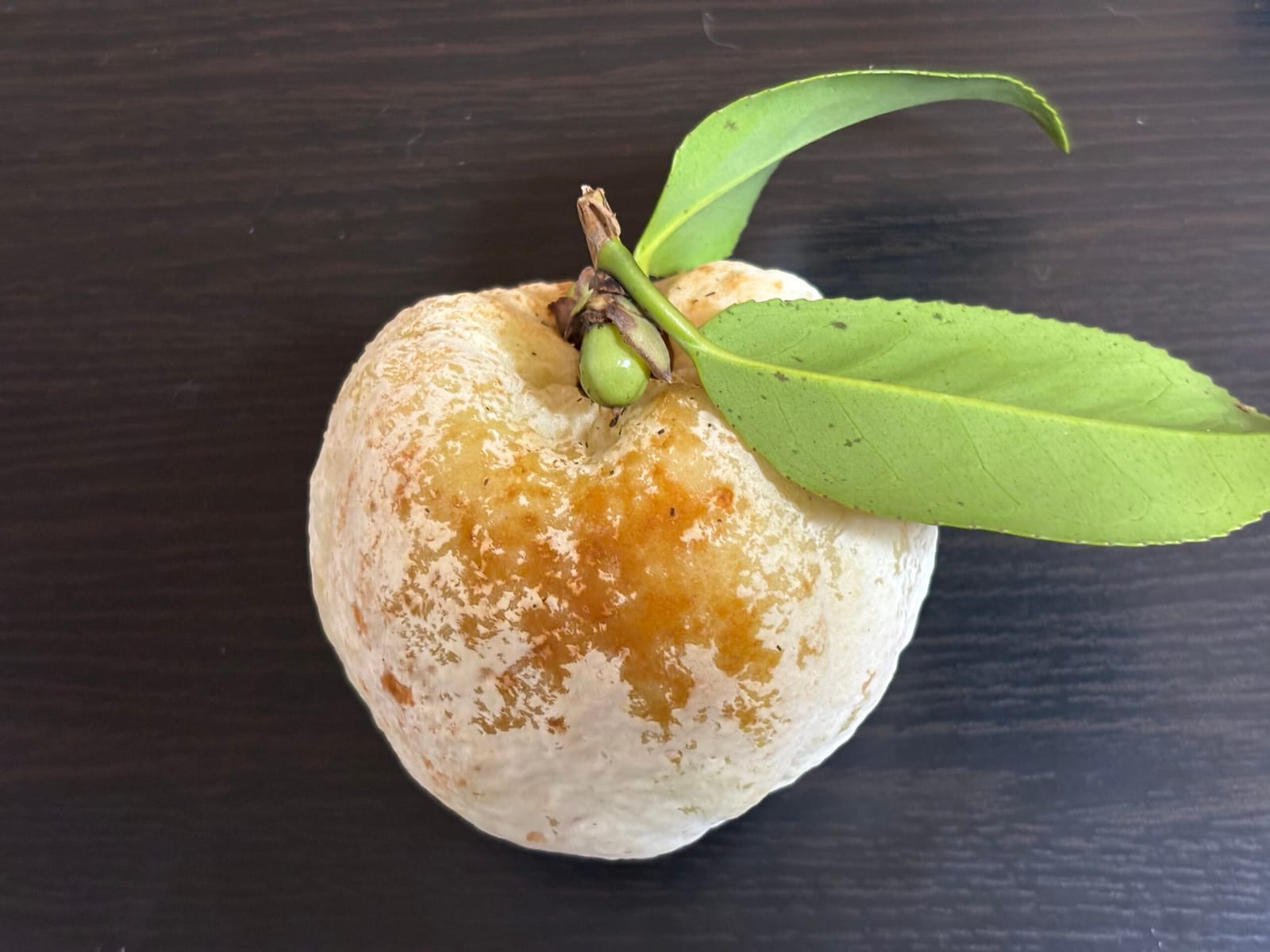 山のぼたもちと、夕飯の煮物の巾着もち