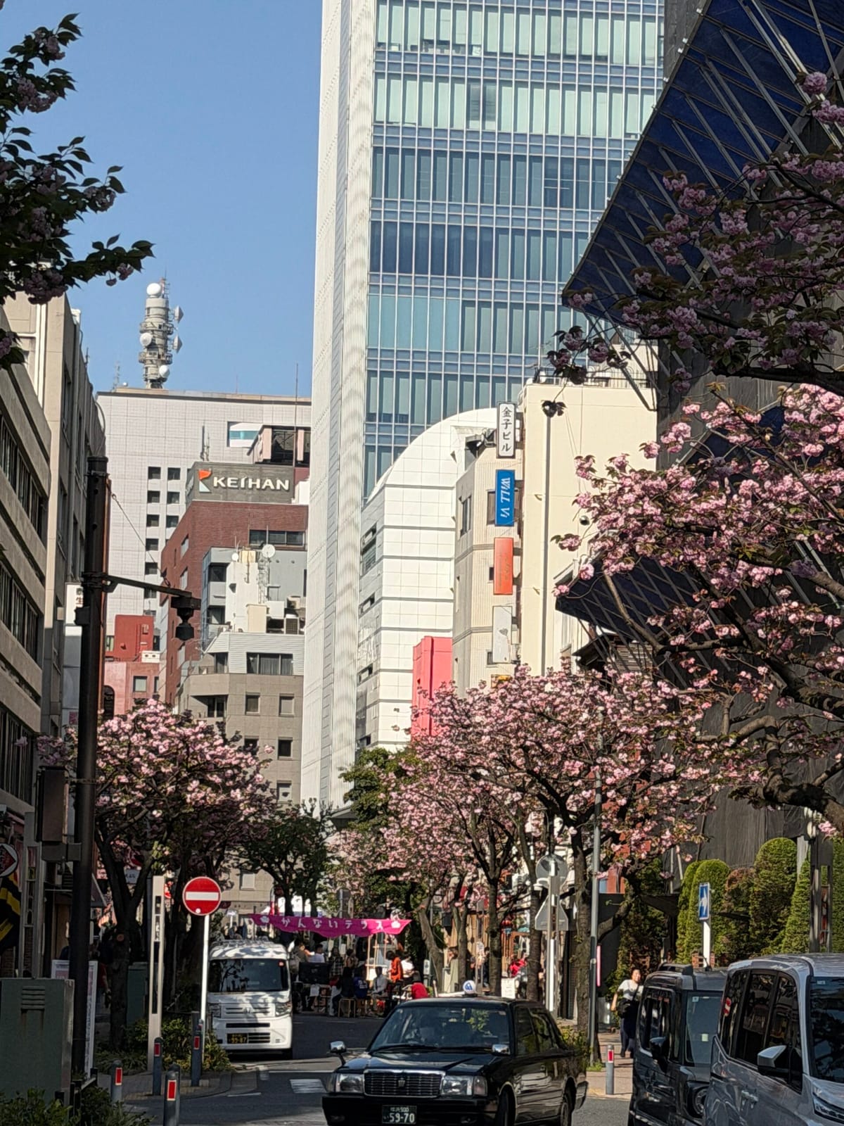 八重桜と韓国料理の日曜