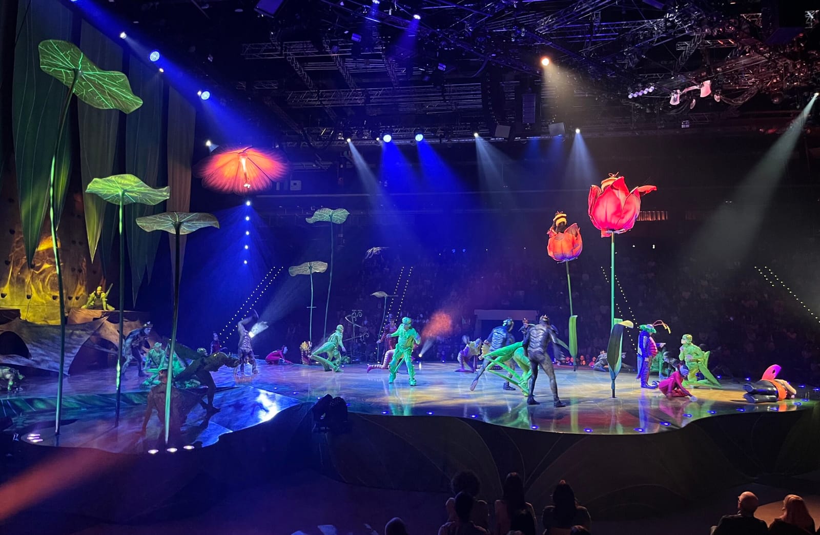 Cirque du Soleil