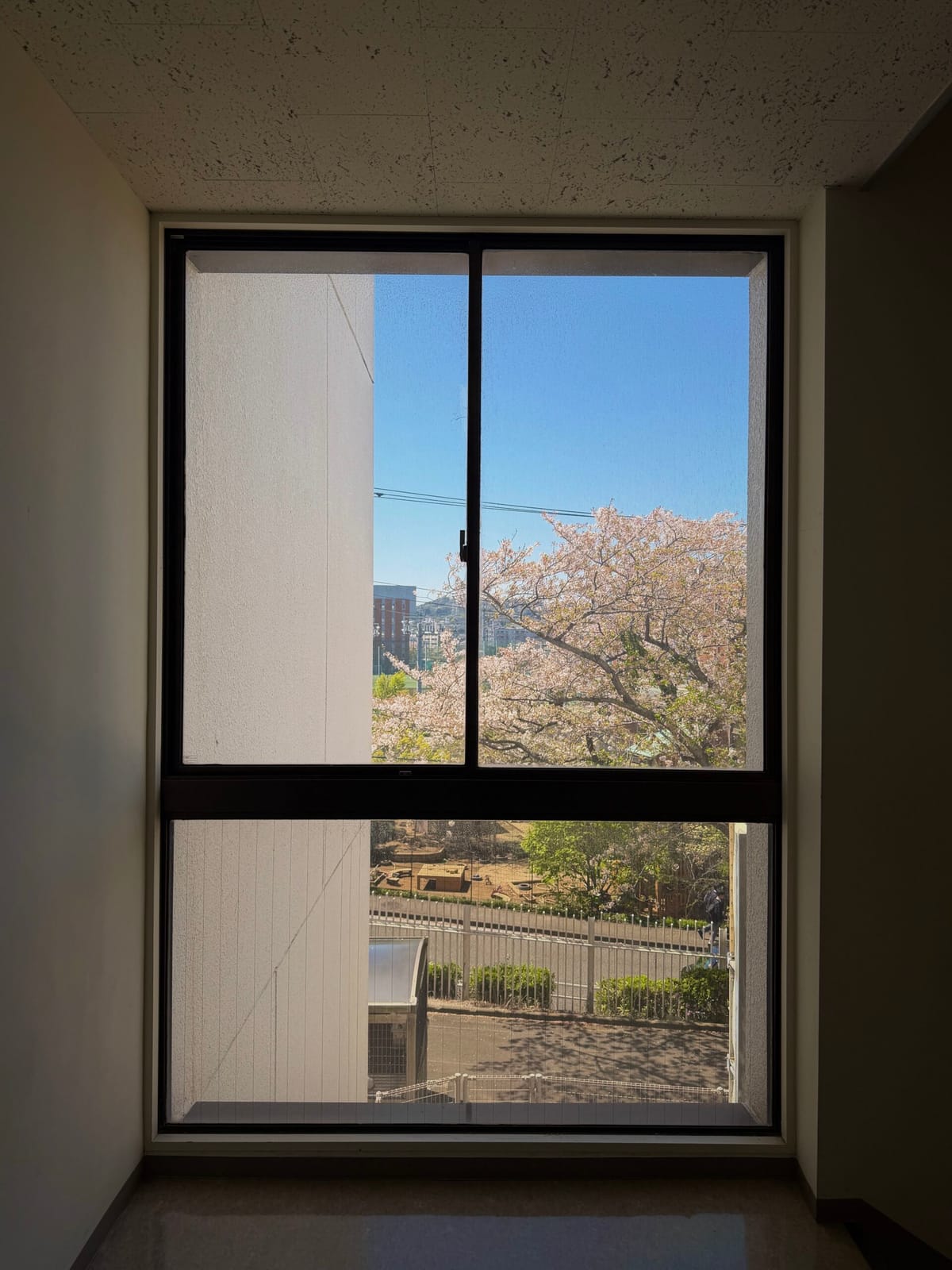 授業開始の水曜