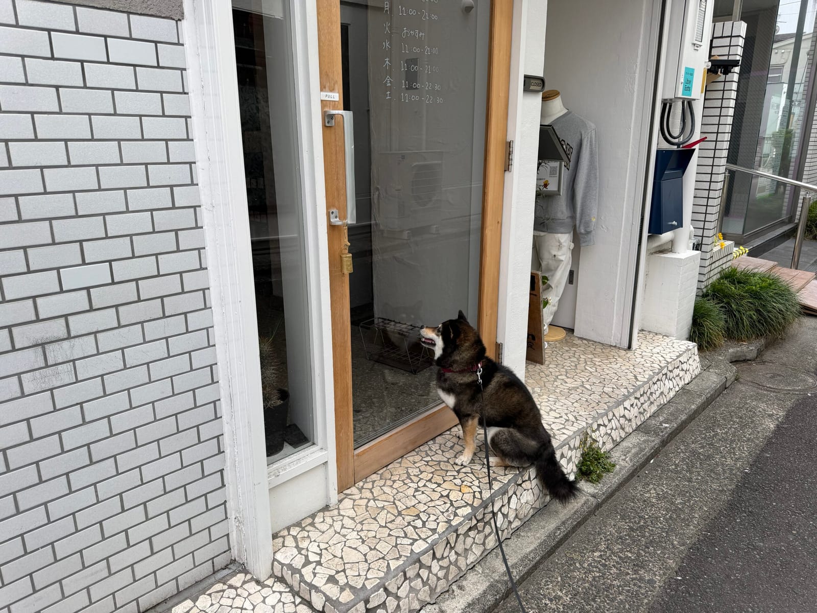 機能の追加は上手くいかなかった土曜