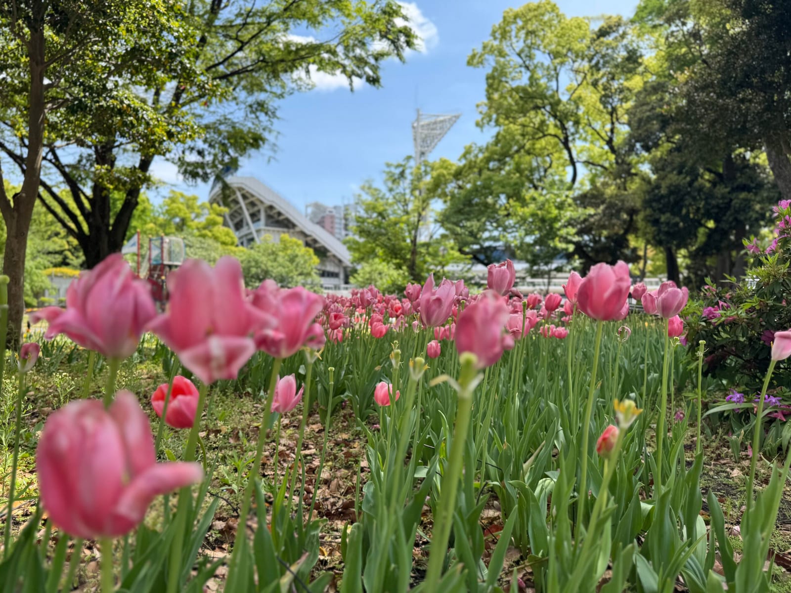 つまりわたしがおかしい