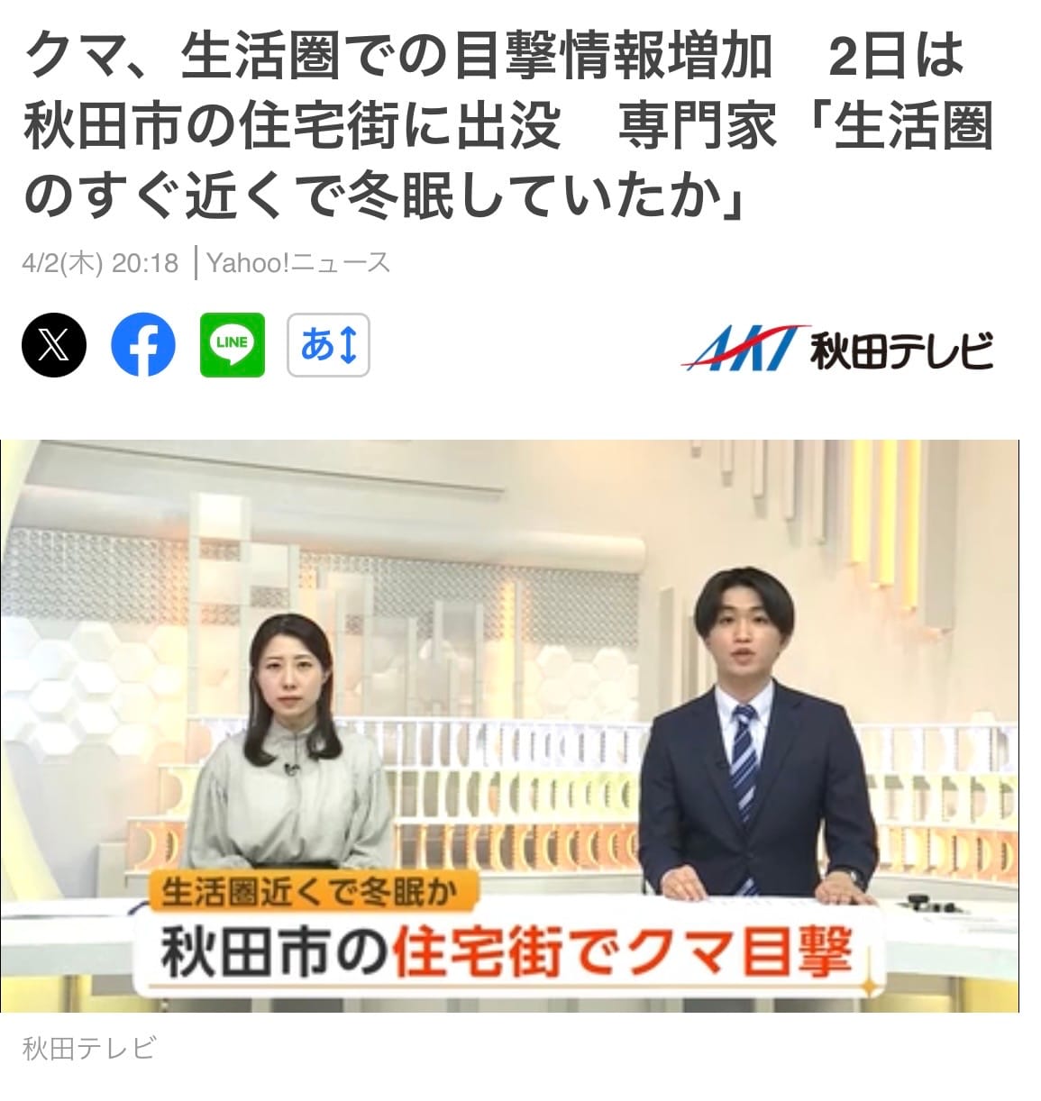 きたな、熊