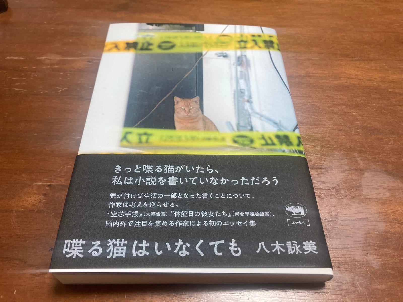喋る猫はいなくても