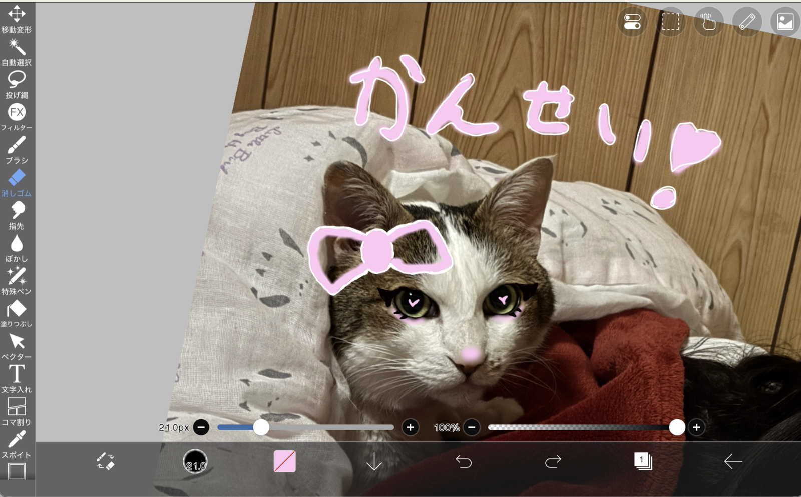 娘の猫愛