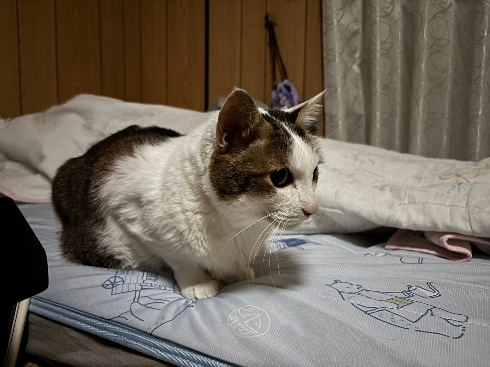 書きたくても書けなかった日もある