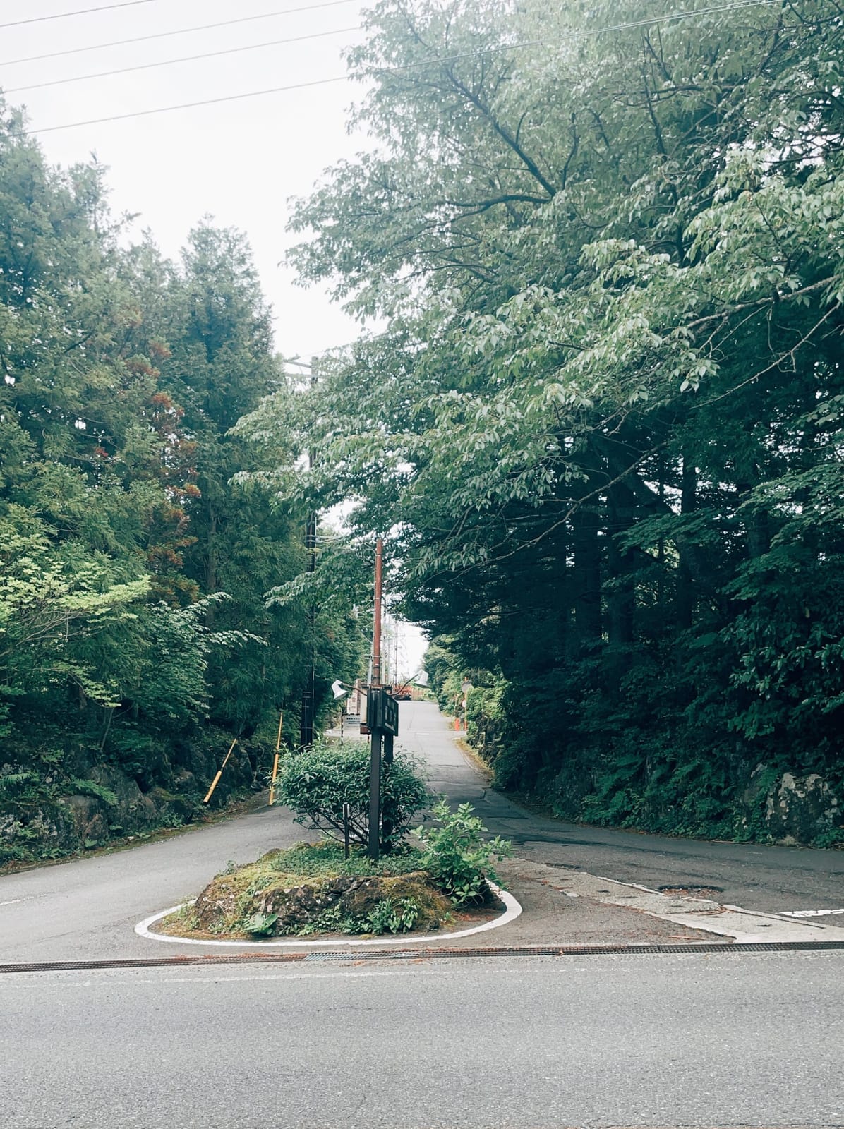 リモート参加の土曜