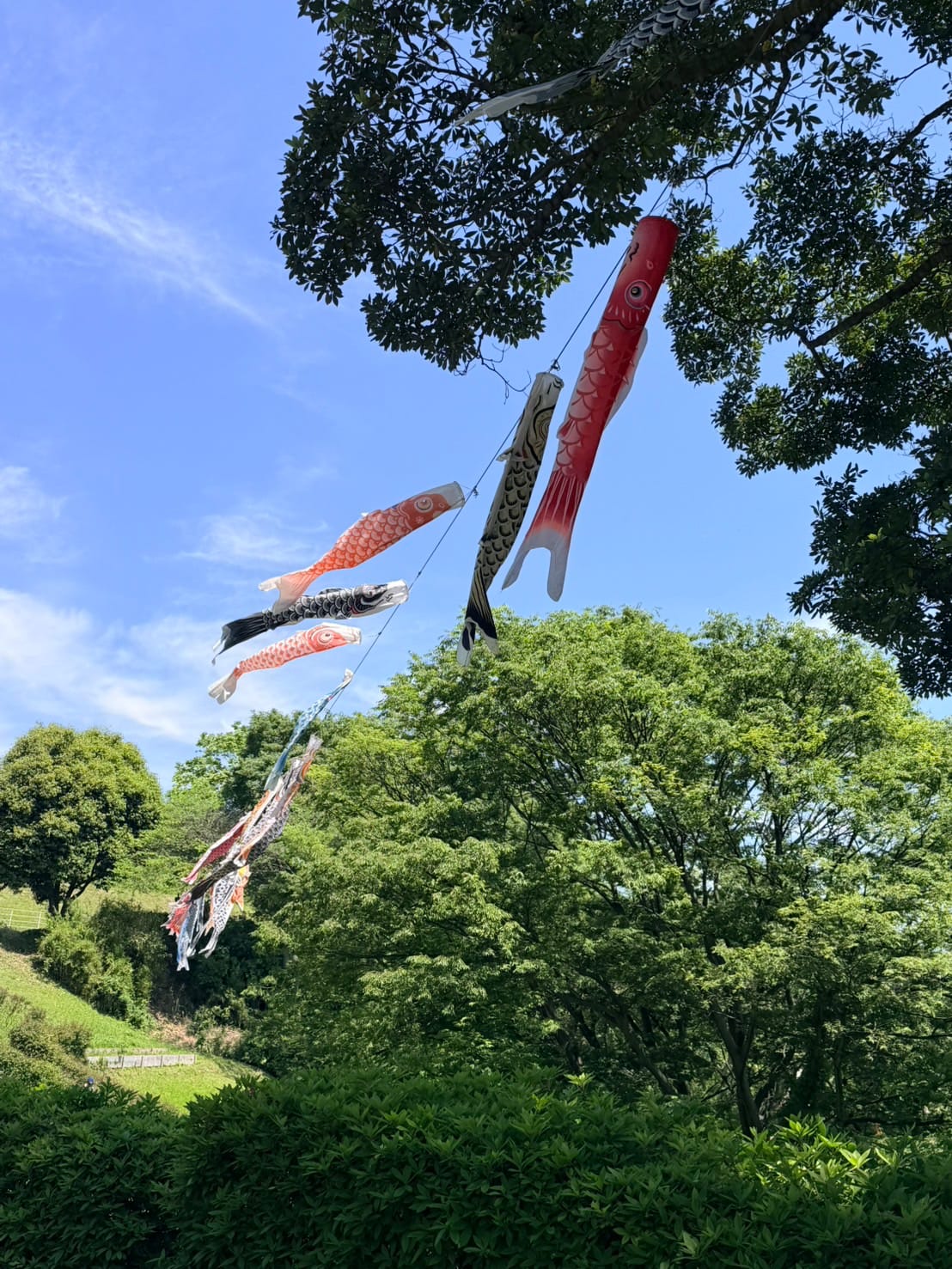 祭に行きたい火曜