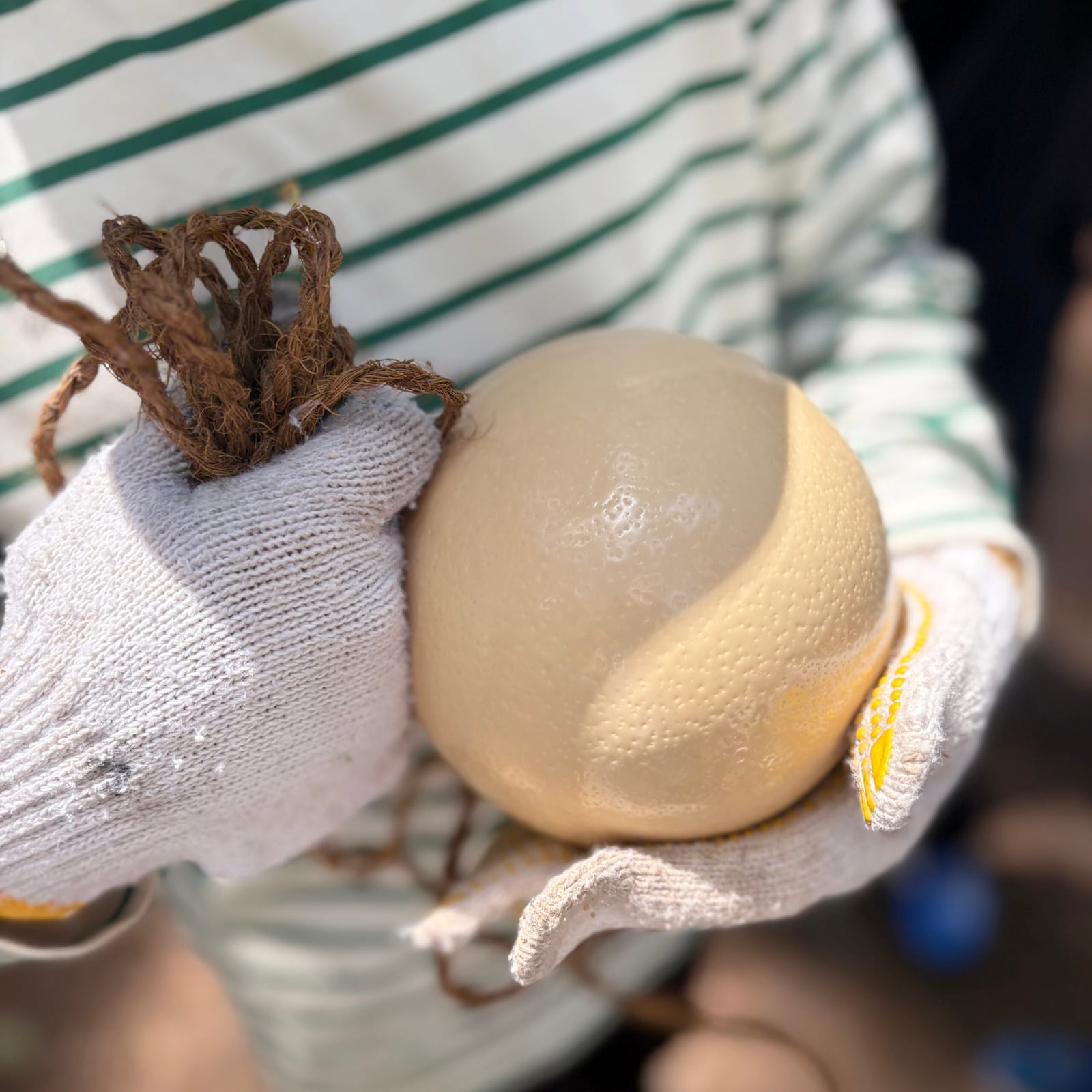 ¥3,880 シーフードミックス1kg