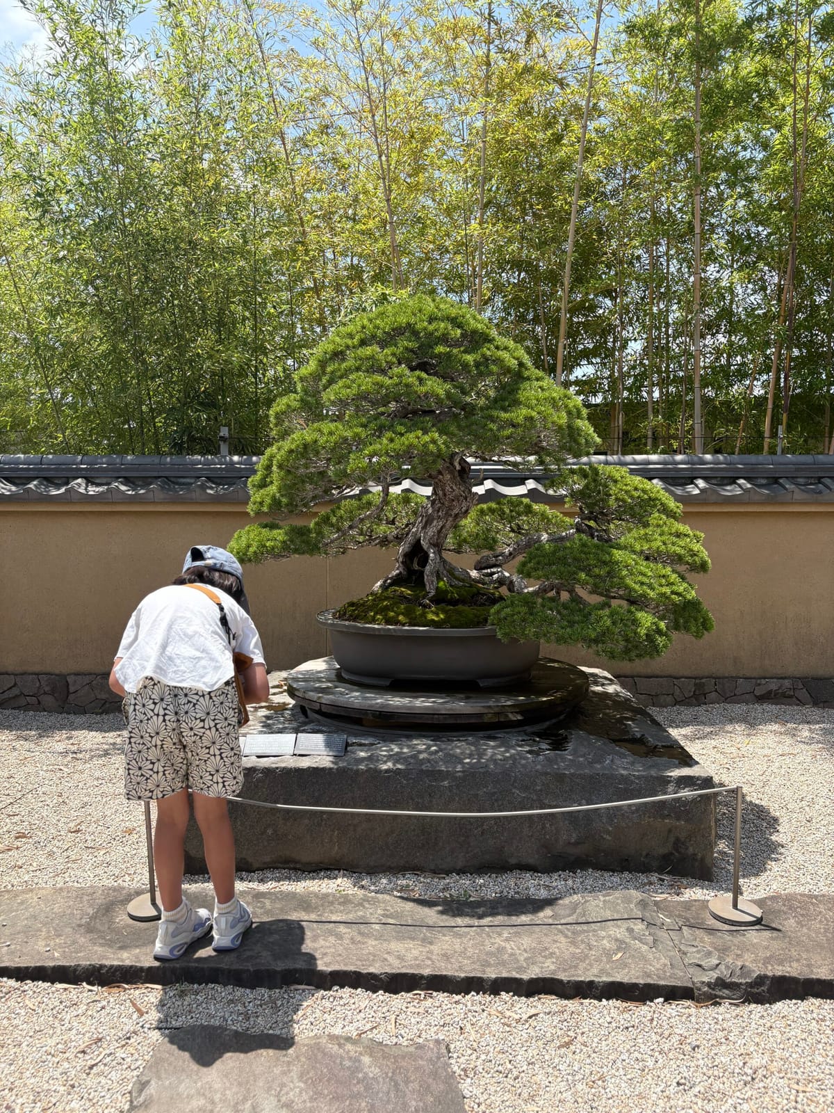 ¥1,600 light hand towl BONSAI（大宮盆栽美術館）