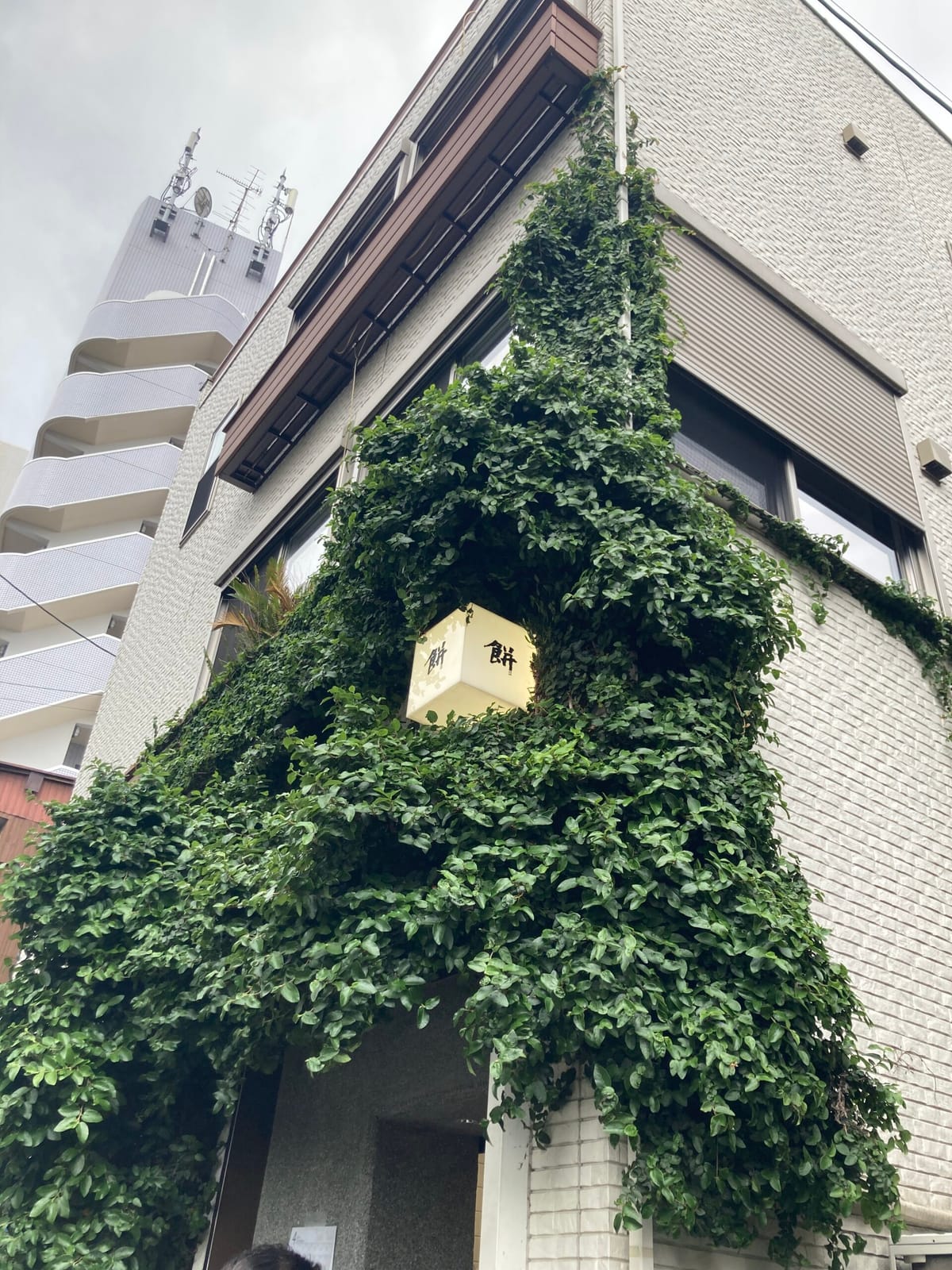 すべてのものは自分の表現